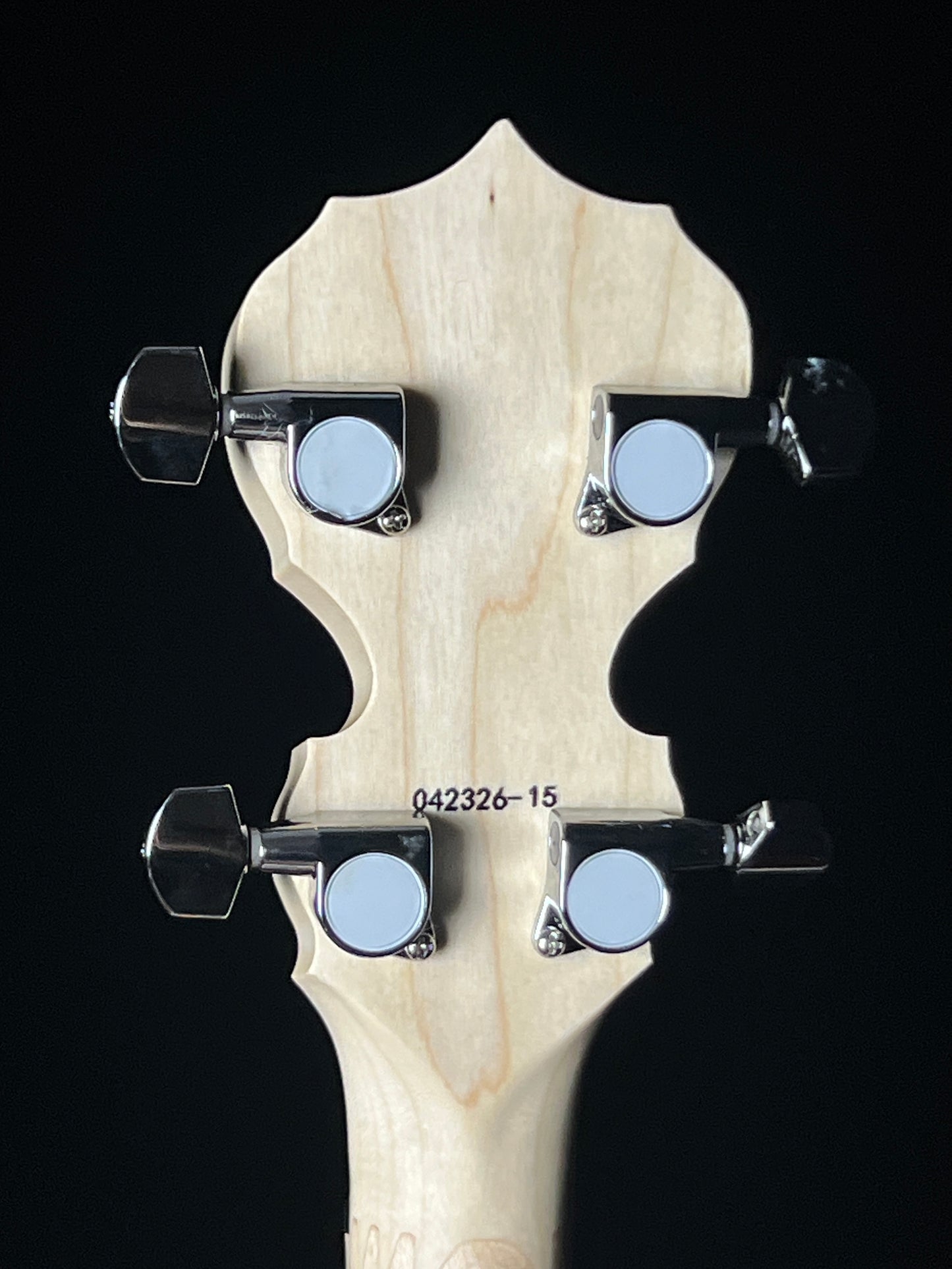 Deering Goodtime Openback Banjo Beginner Package  - New