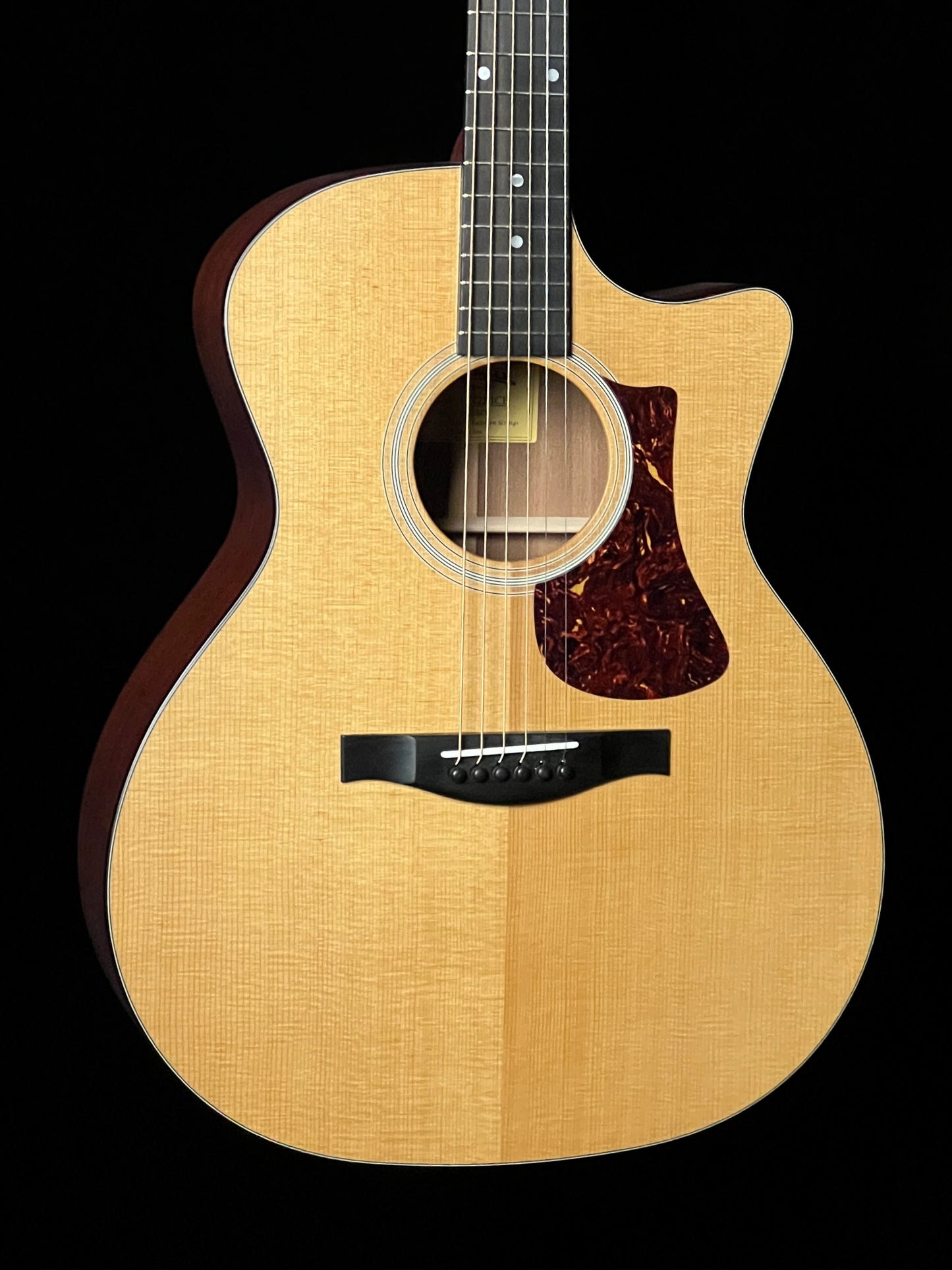 SOLD - Eastman AC122-1CE Grand Auditorium Acoustic Guitar with Fishman pickup Thermo-Cured Sitka/ Sapele - New