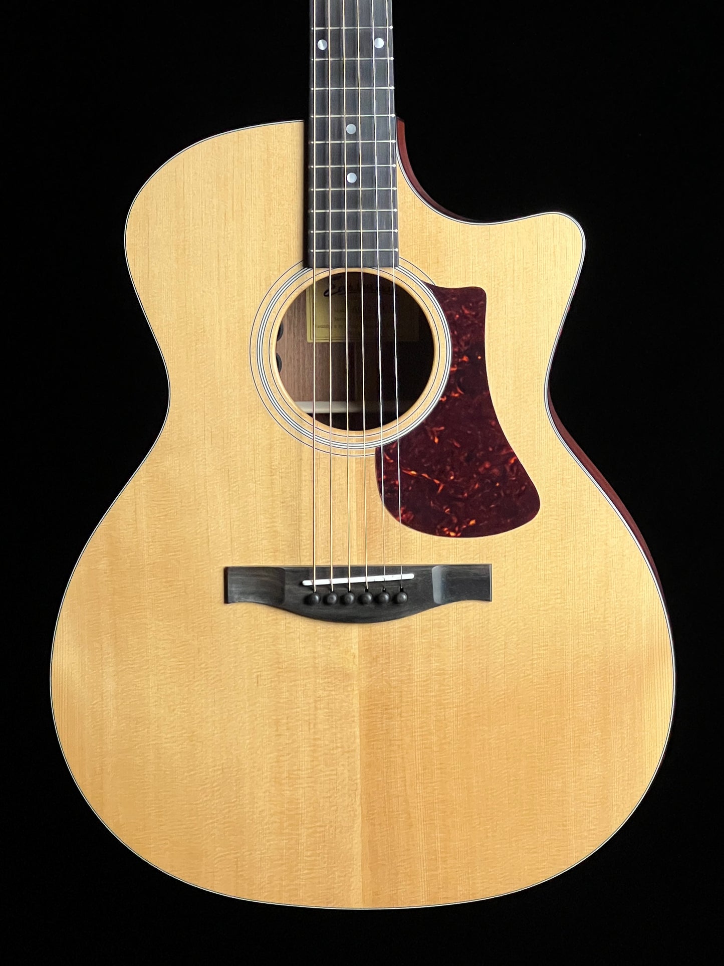 Eastman AC122-1CE Grand Auditorium Sitka/ Sapele with Fishman pickup - New