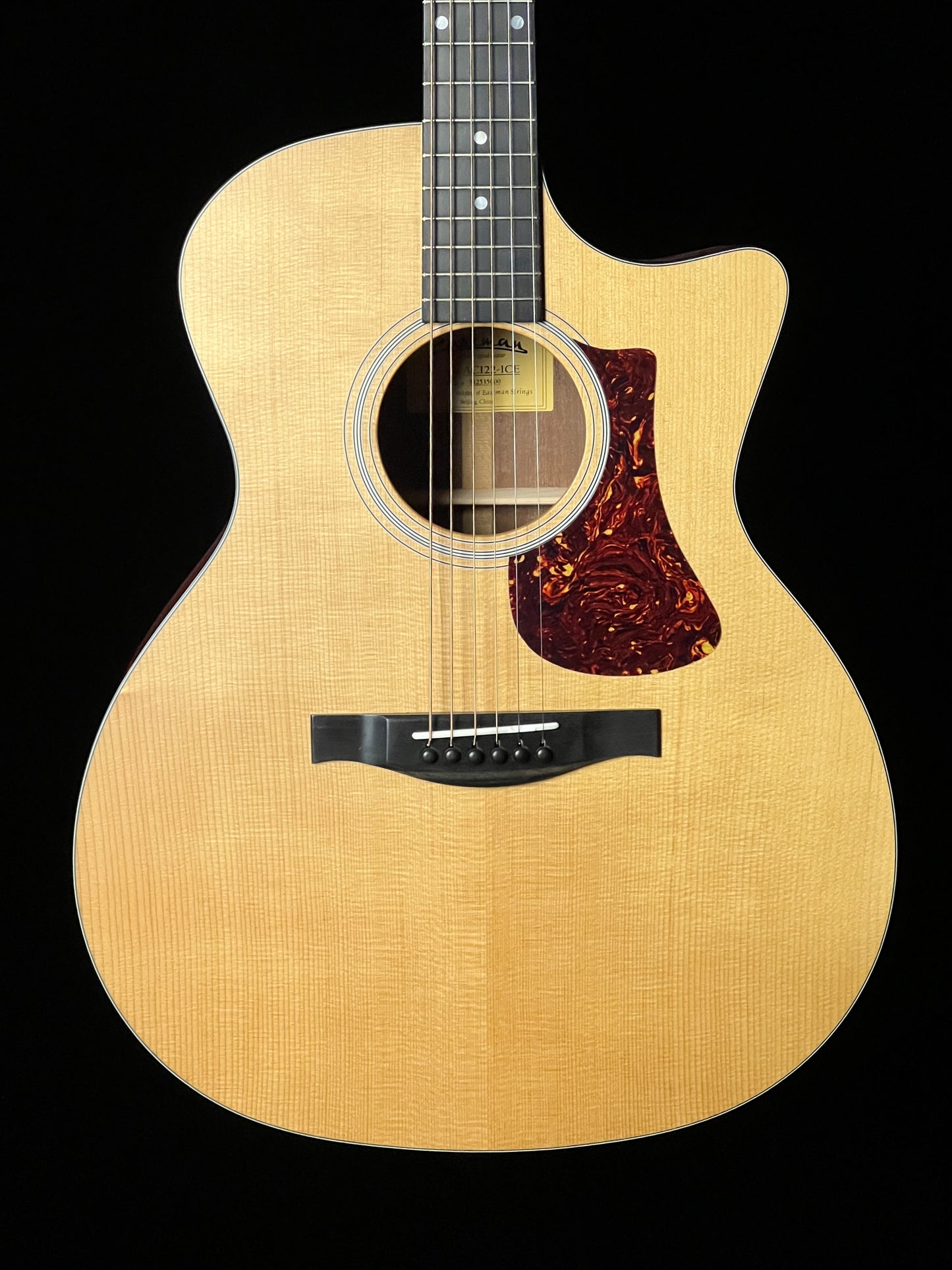 Eastman AC122-1CE Thermo-Cured Sitka/ Sapele Acoustic Guitar with Fishman Pickup - New