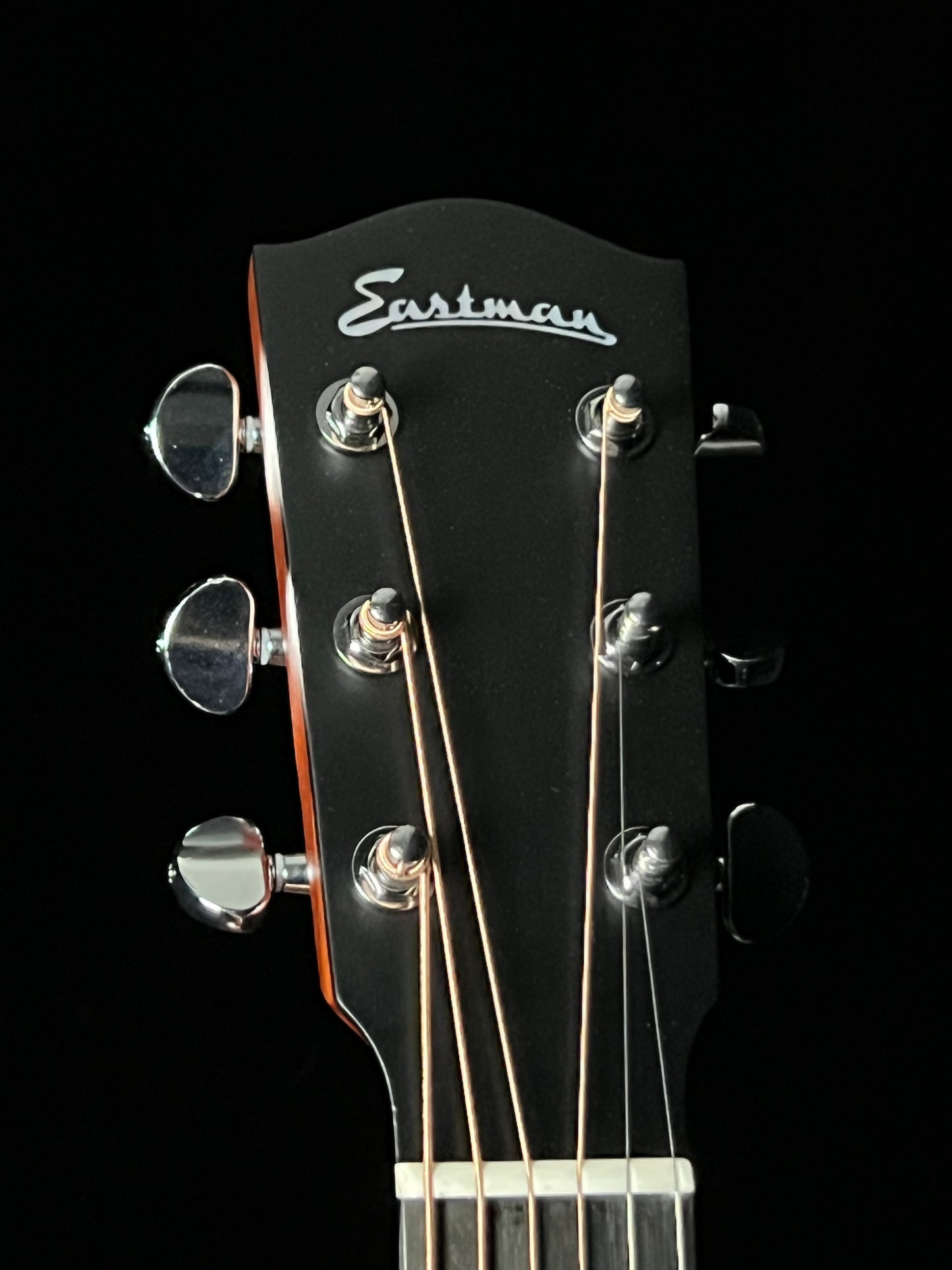 Eastman AC122-1CE Thermo-Cured Sitka/ Sapele Acoustic Guitar with Fishman Pickup - New