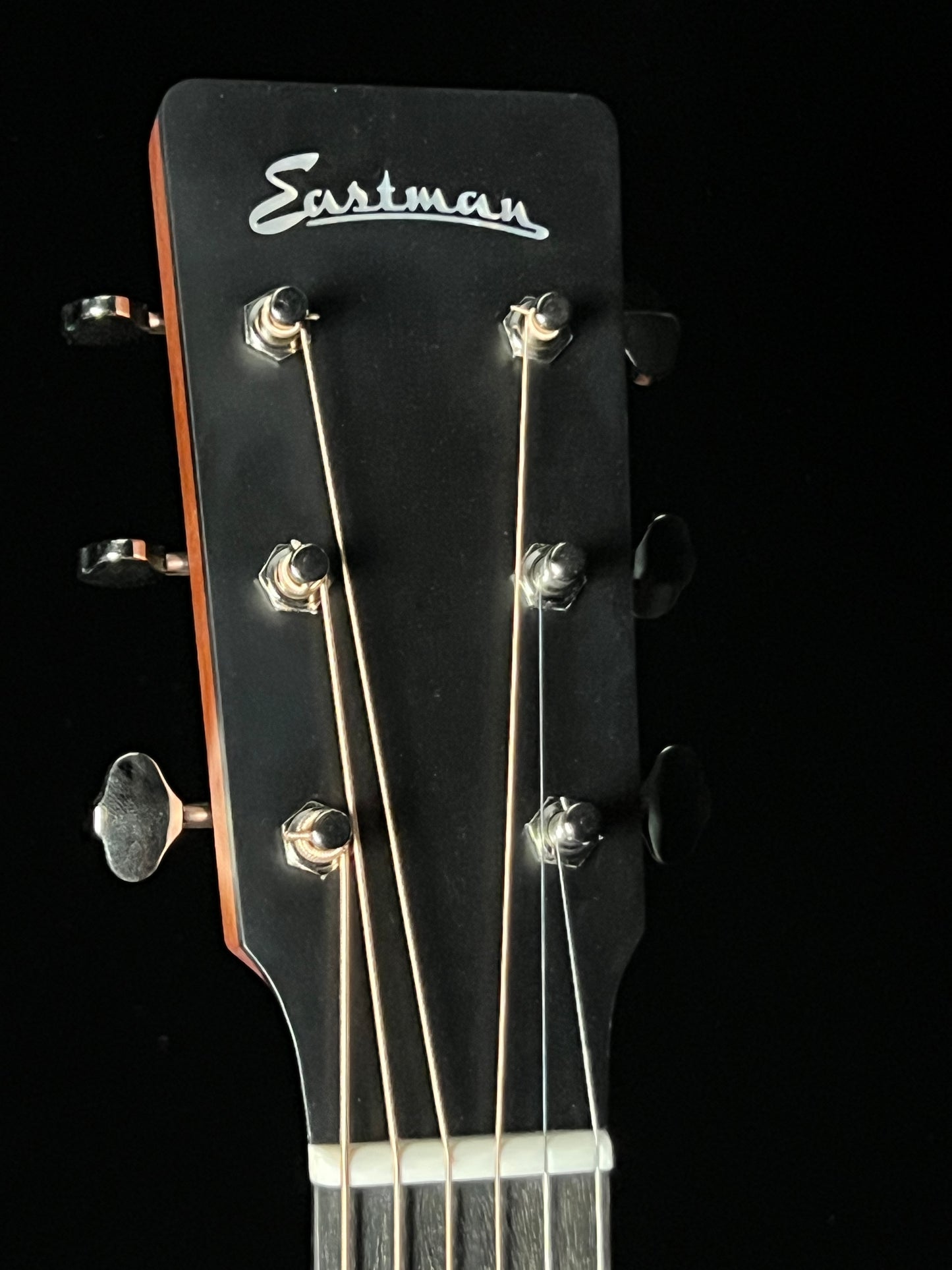 Eastman E1D Dreadnought Thermo-Cured Sitka Spruce/Sapele Acoustic Guitar - New