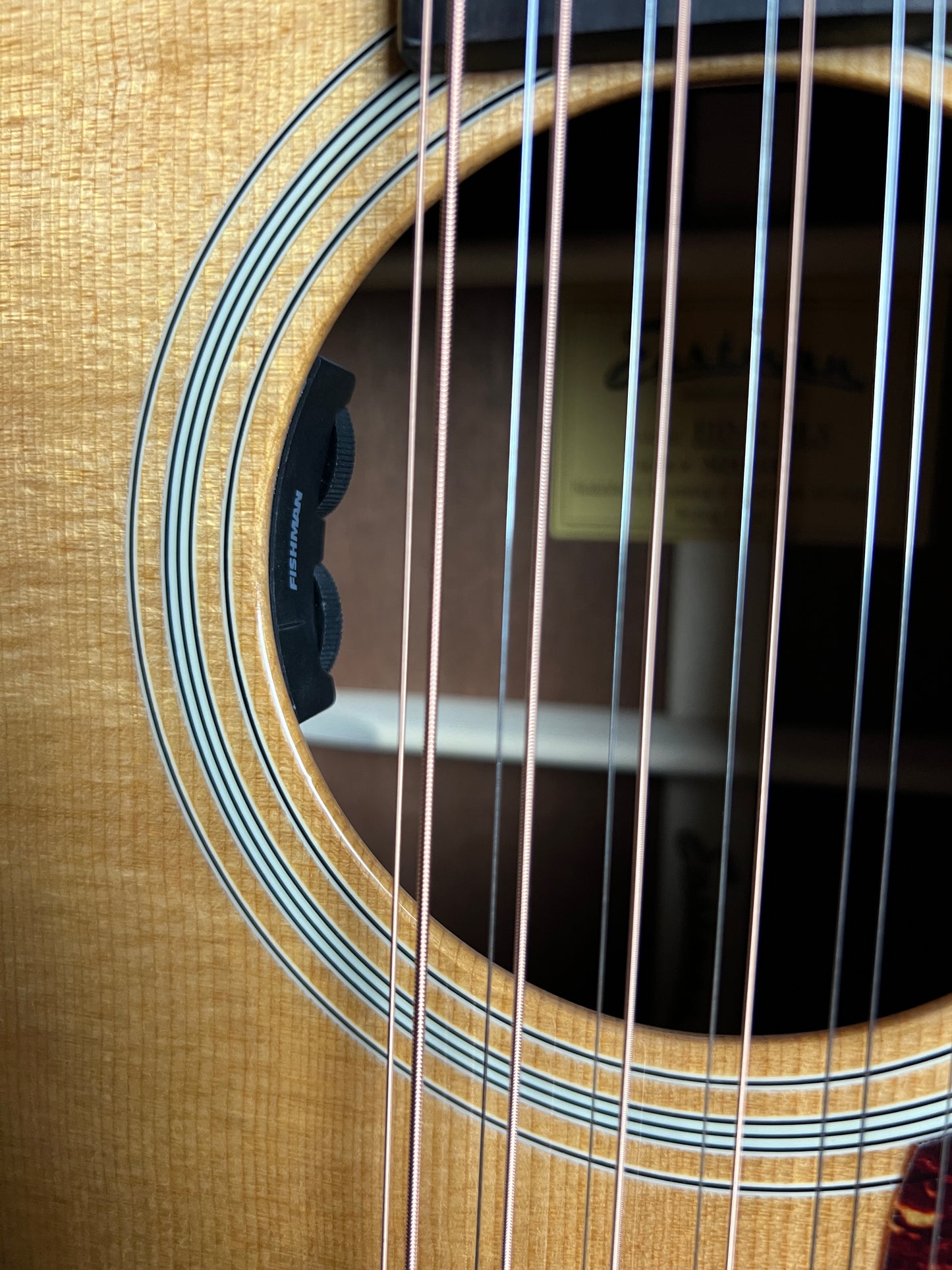 Eastman E1 D-12-DLX 12-String Dreadnought Sitka Spruce/Sapele with Pickup - New
