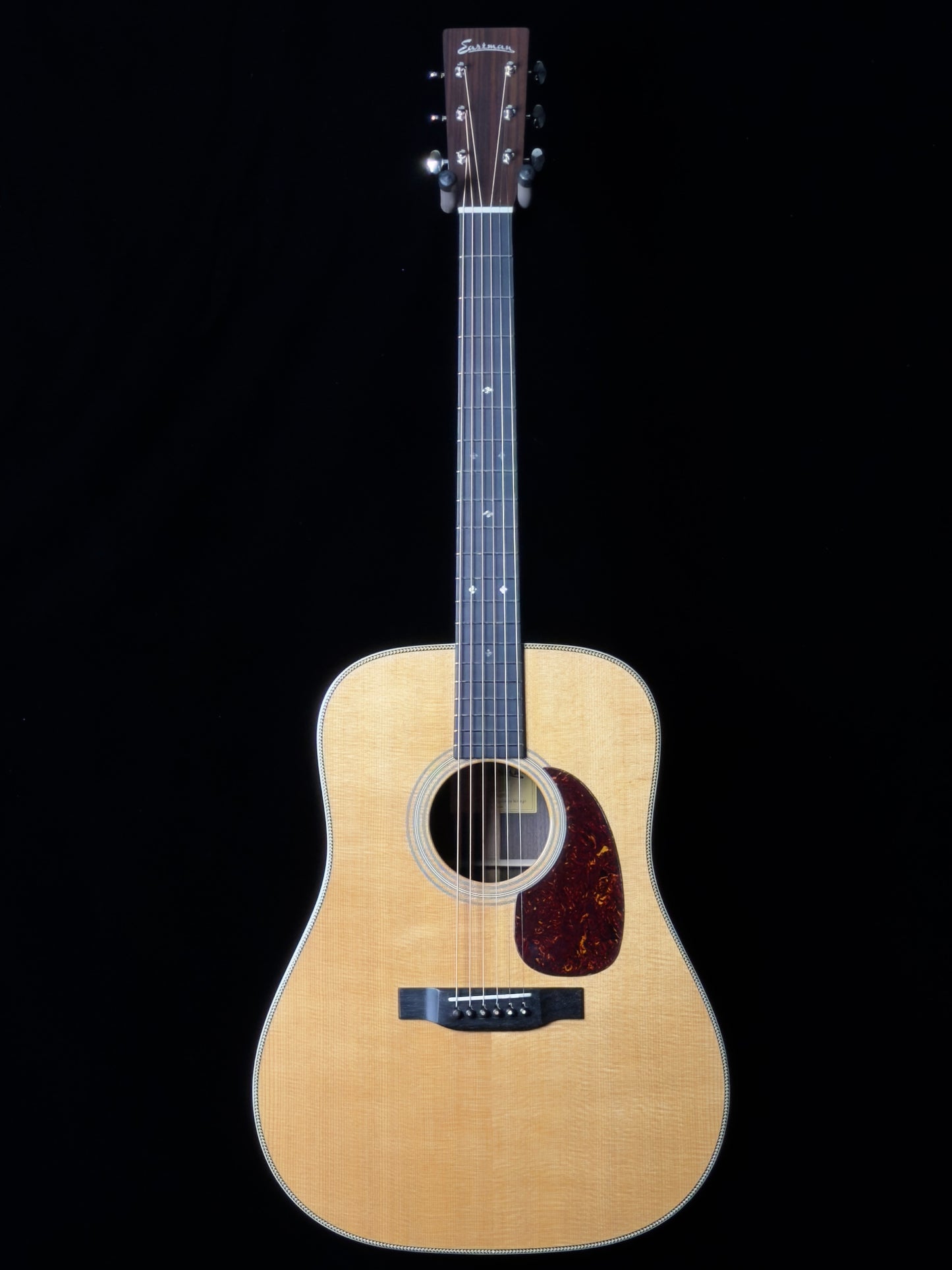 Eastman E20D-TC Dreadnought Thermo-Cure Adirondack Spruce/ Rosewood Acoustic Guitar - New