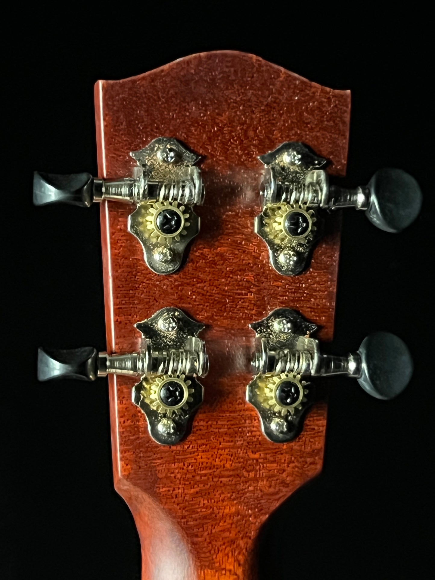 Eastman EU1-T Tenor Ukulele All Mahogany - New