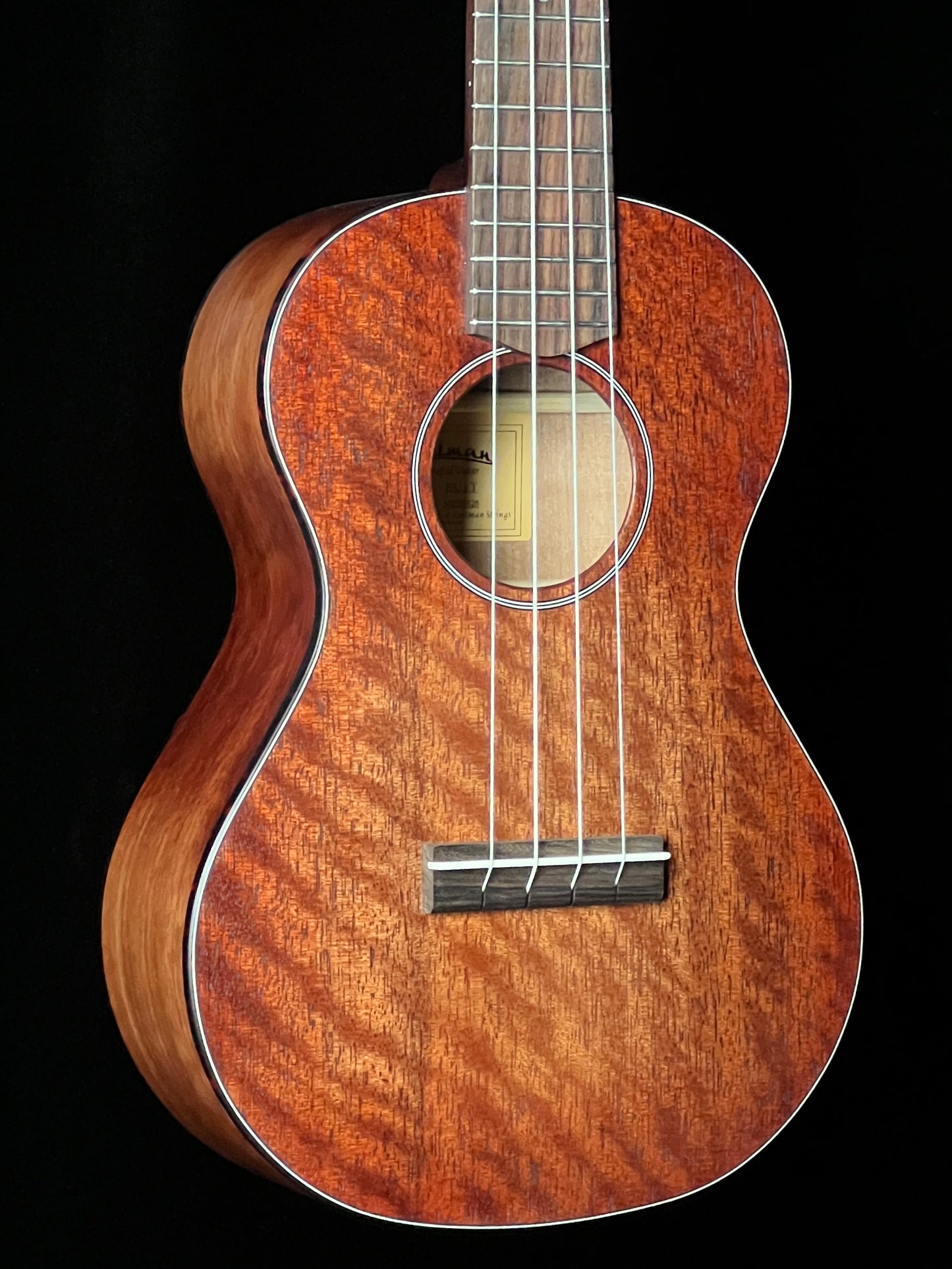 Eastman EU1-T Tenor Ukulele All Mahogany - New