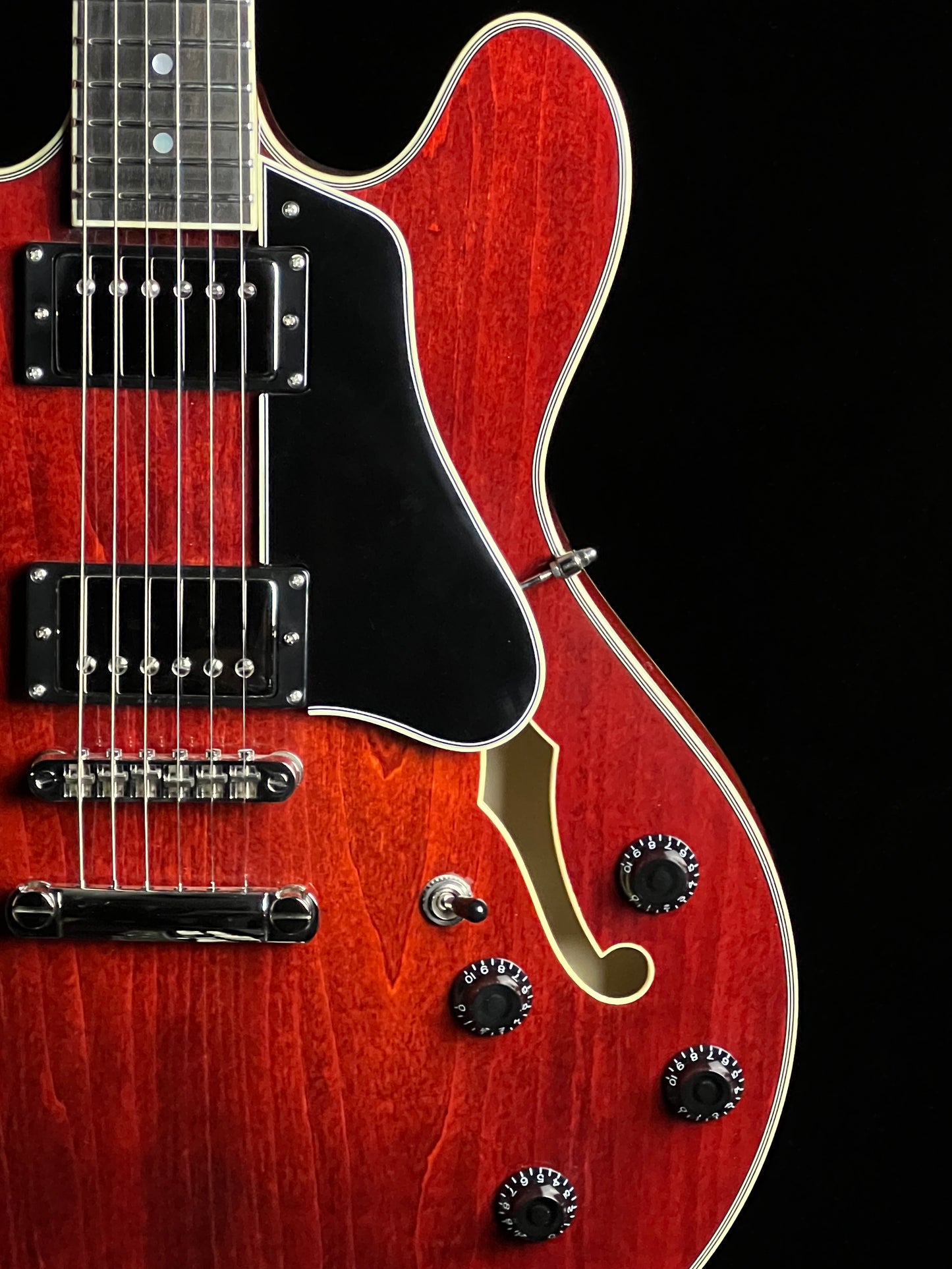 Eastman Electric Thinline T386 Classic Hollowbody Guitar - New