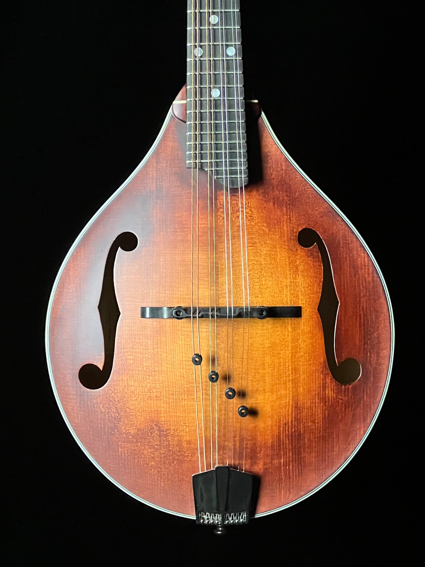 Eastman MD305 Adirondack Wide Neck A-Style Mandolin Adirondack Spruce/Maple - New