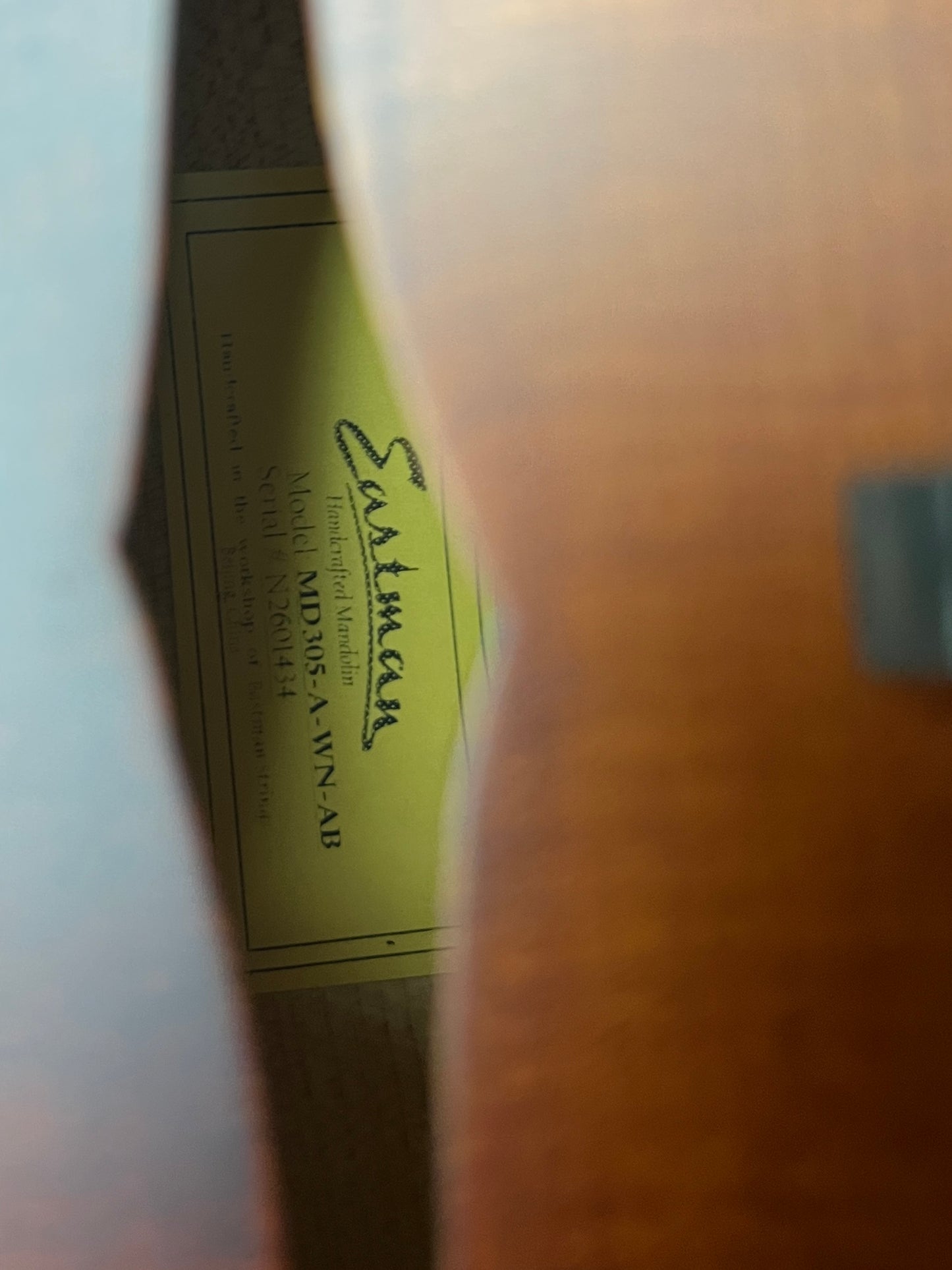 Eastman MD305 Adirondack Wide Neck A-Style Mandolin Adirondack Spruce/Maple - New