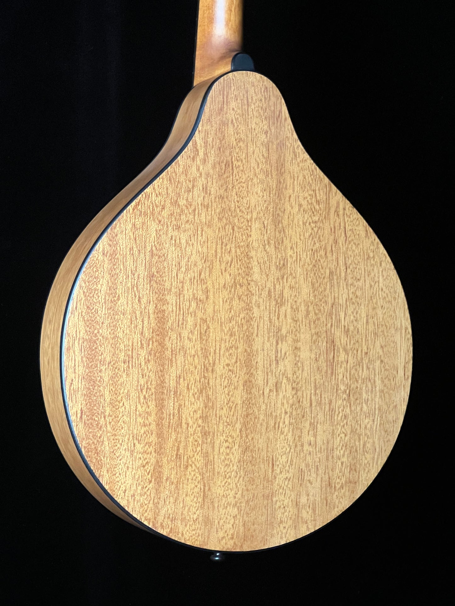Eastman PCH-M104-GB Goldburst A-Style Solid Spruce/Laminated Mahogany - New