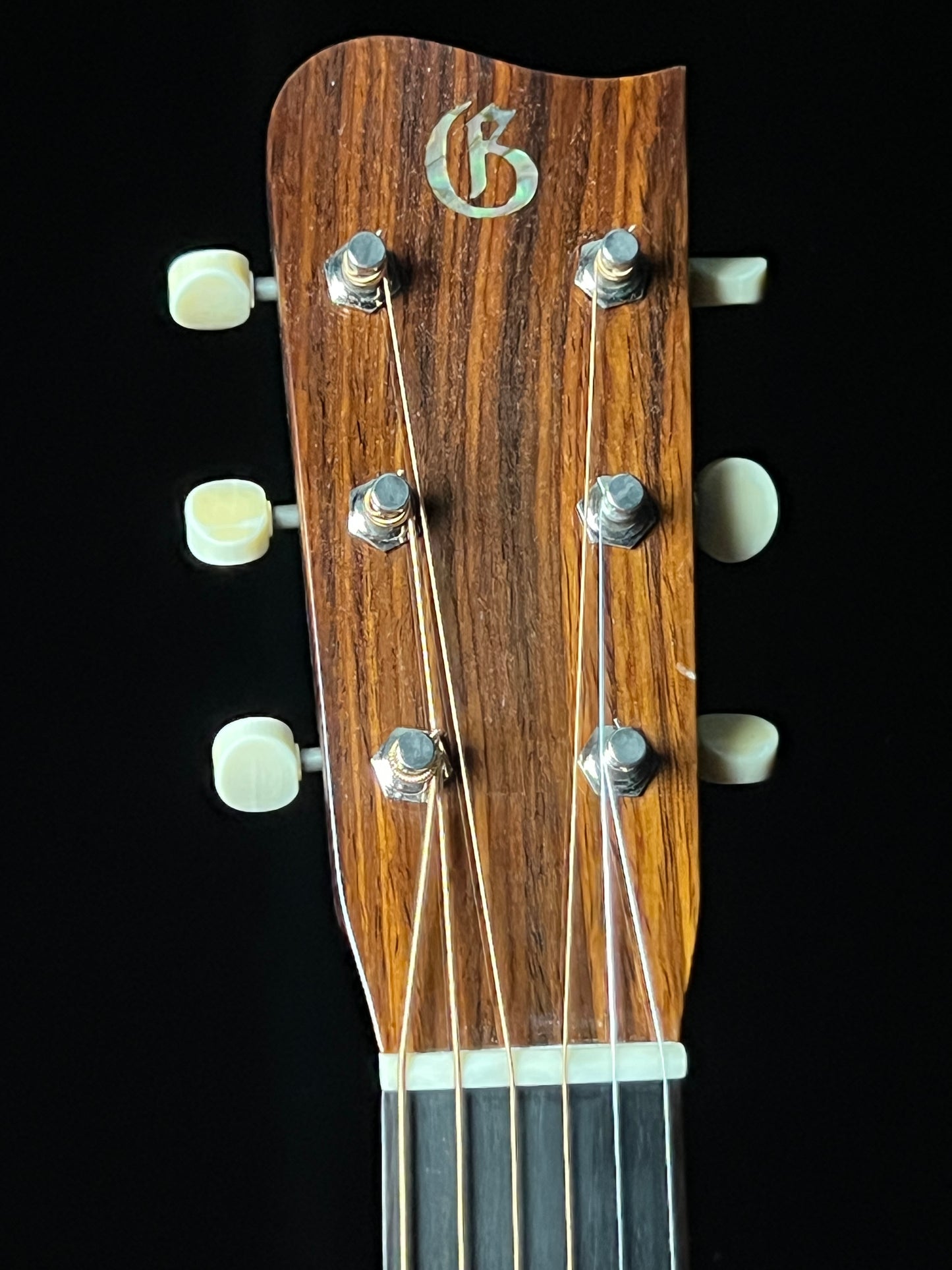 Gallagher GA-72 OM Acoustic Guitar (2021) Engelmann Spruce/Cocobolo - Used