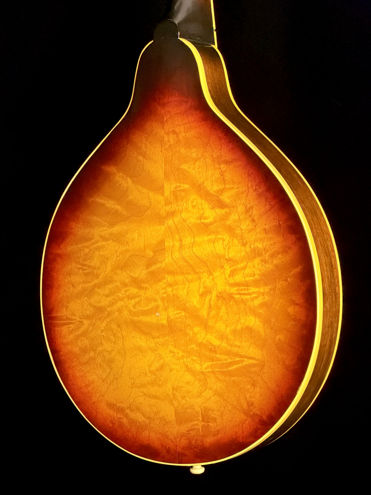 Gibson A-50 (1961) A-Style Mandolin - Used