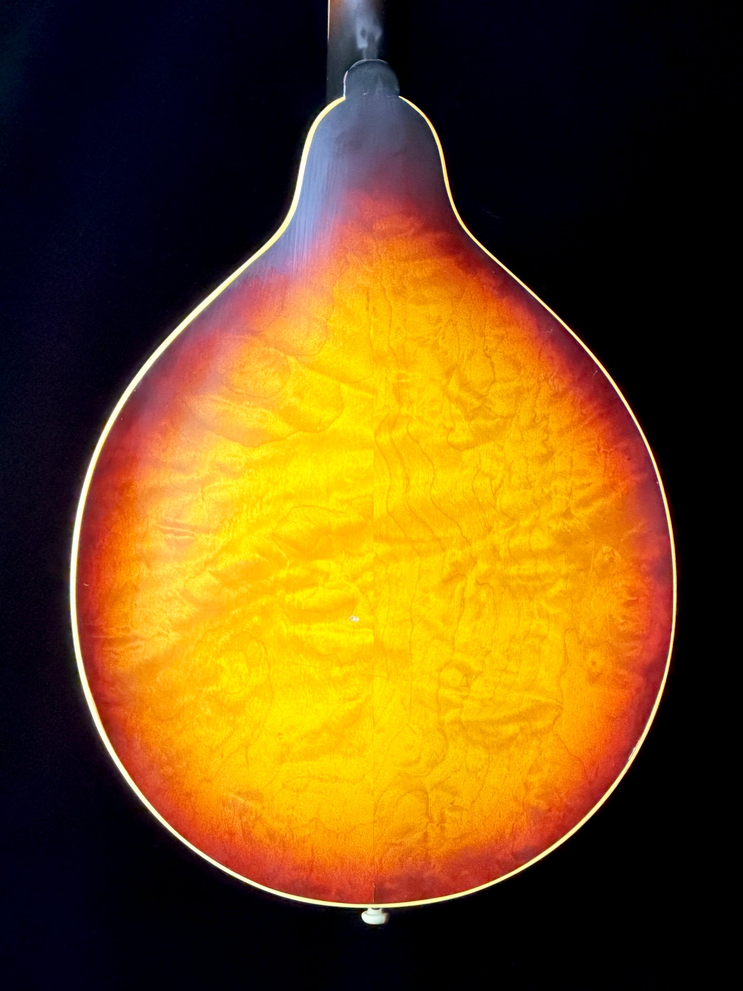 Gibson A-50 (1961) A-Style Mandolin - Used