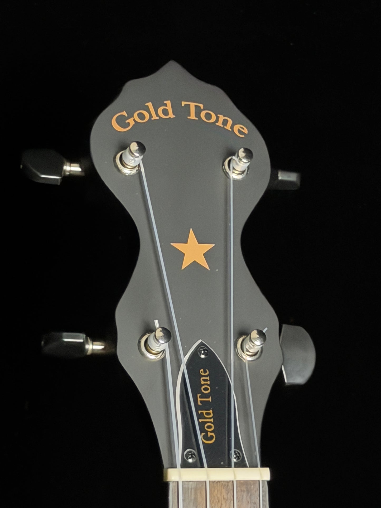 Gold Tone AC-1FL Fretless Acoustic Composite 5-String Openback Banjo - New