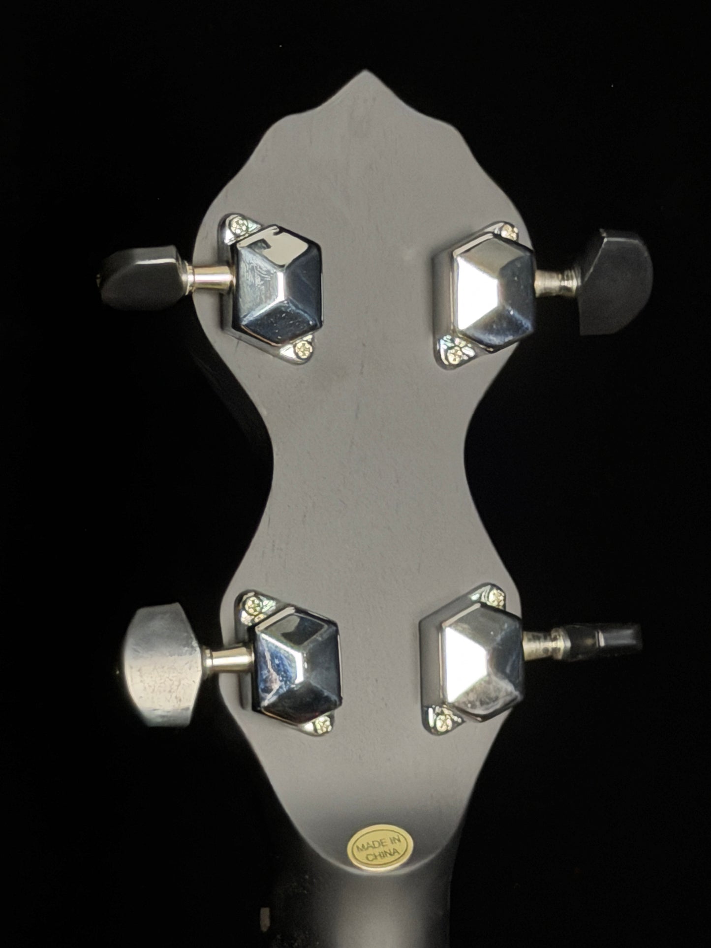 Gold Tone AC-1FL Fretless Acoustic Composite 5-String Openback Banjo - New