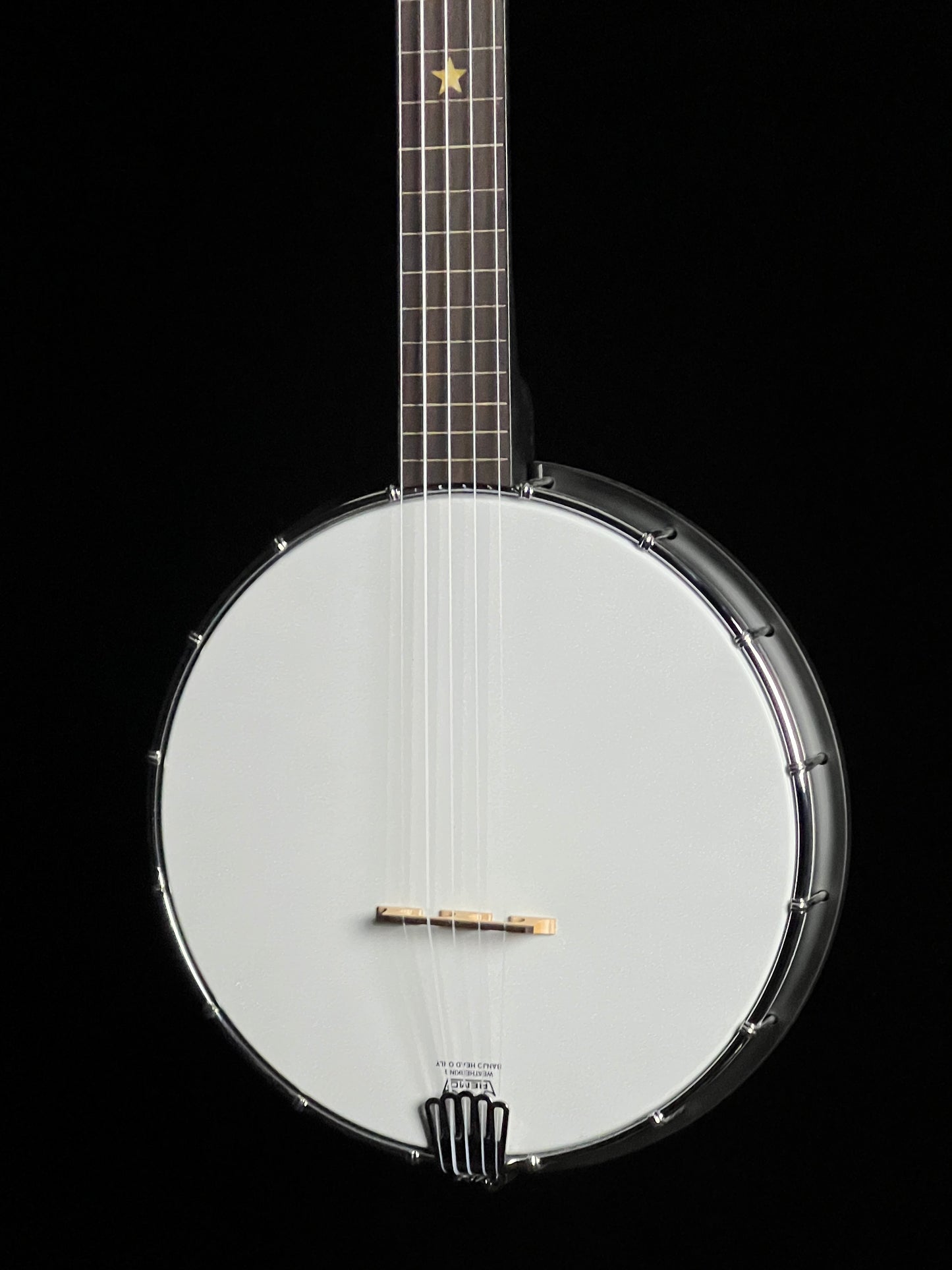 Gold Tone AC-1FL Fretless Acoustic Composite 5-String Openback Banjo - New