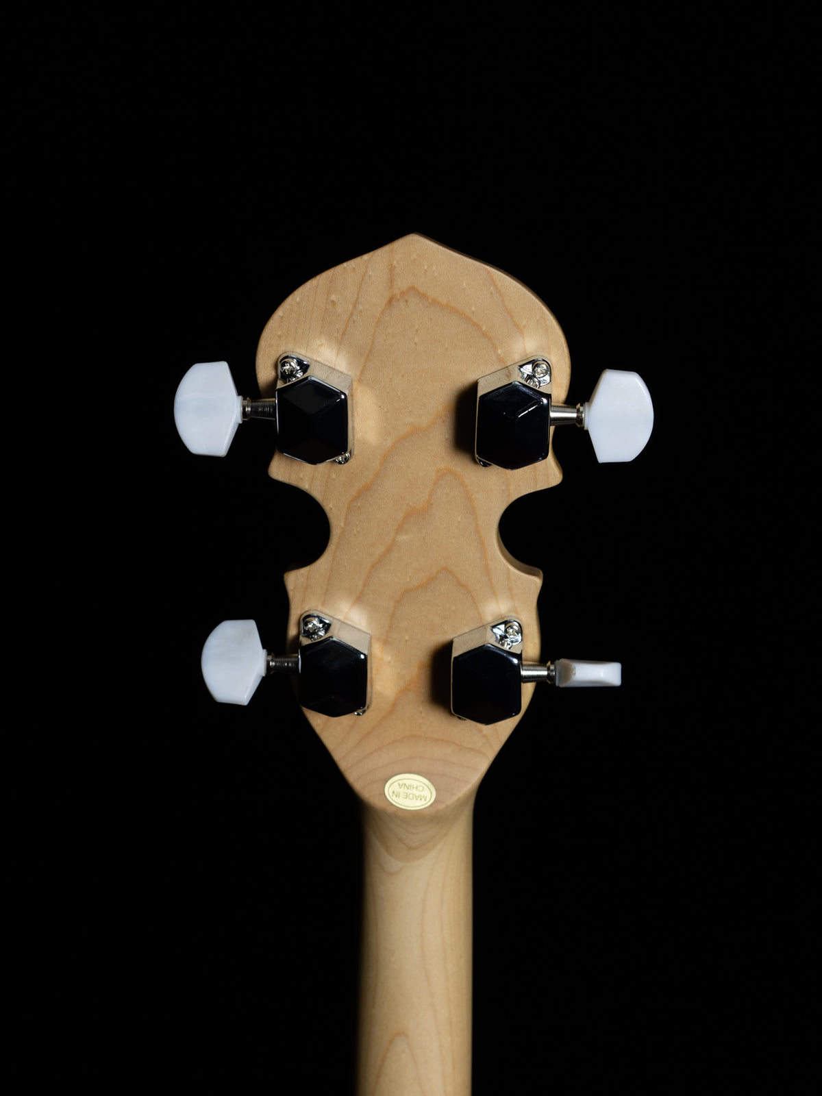 Gold Tone AC-5 Acoustic Composite 5-String Banjo - New