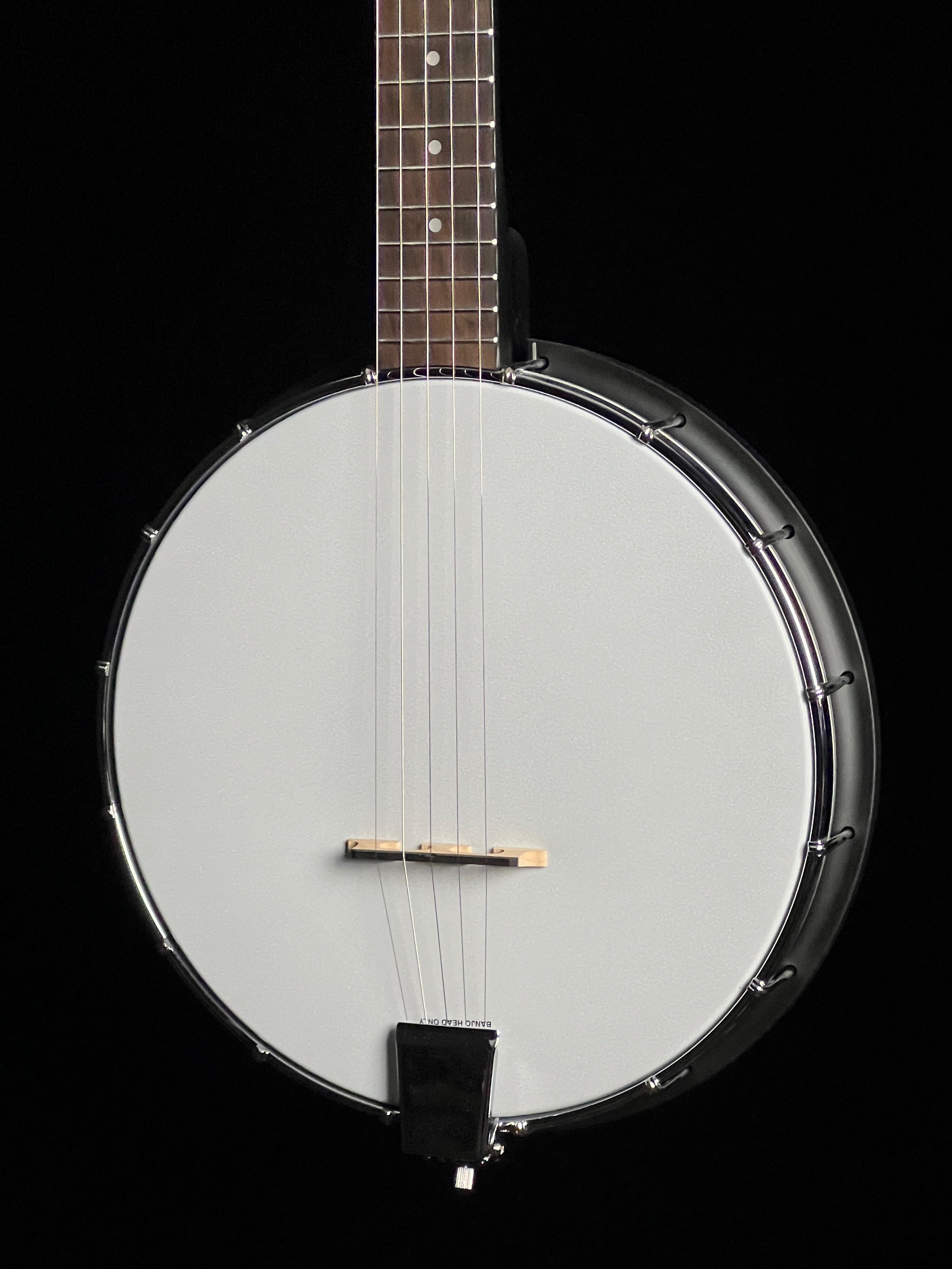 Gold Tone AC-1 Acoustic Composite 5-String Openback Banjo - New – Papaw ...