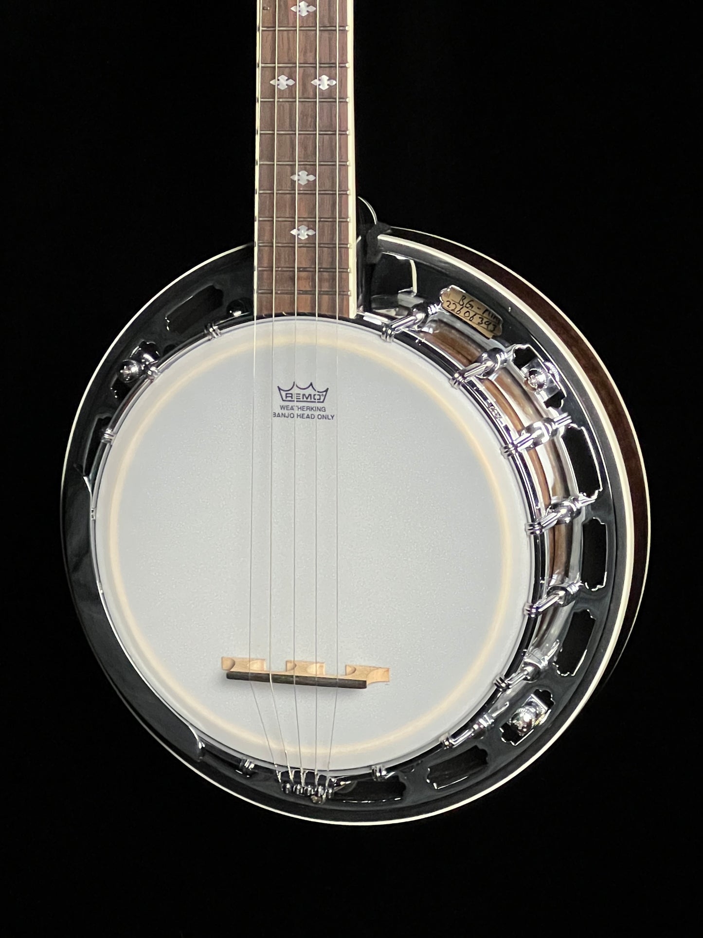 Gold Tone BG-Mini Bluegrass Mini Banjo - New