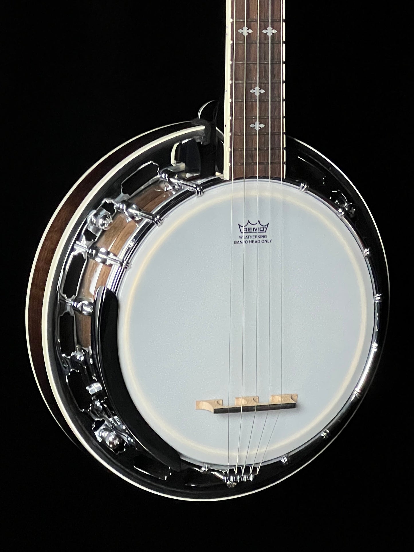 Gold Tone BG-Mini Bluegrass Mini Banjo - New