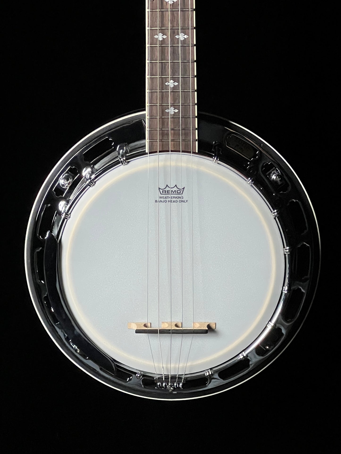Gold Tone BG-Mini Bluegrass Mini Banjo - New