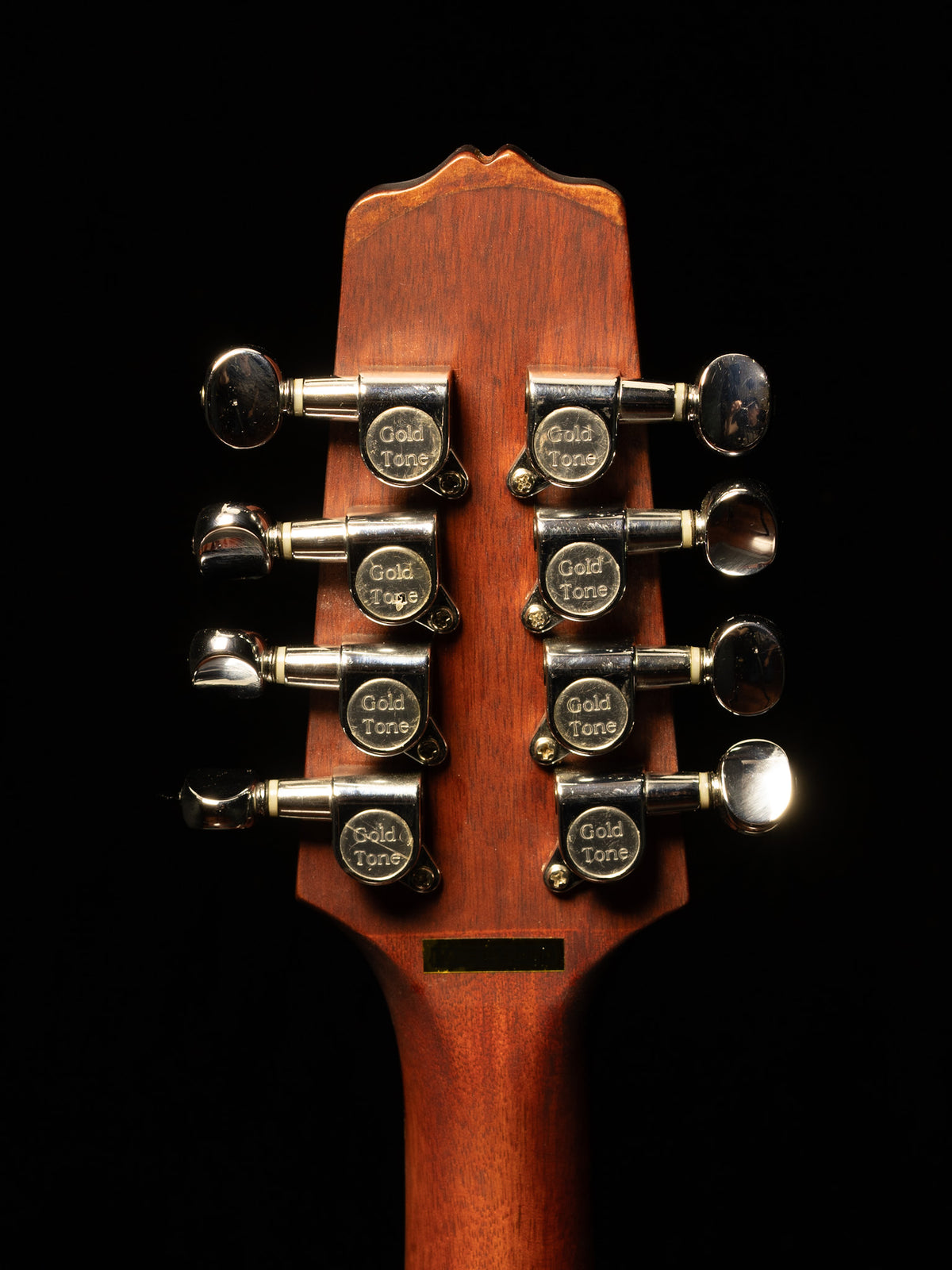 Gold Tone BZ-1000 Guitar-Bodied Irish-Tuned Bouzouki Mandolin - New
