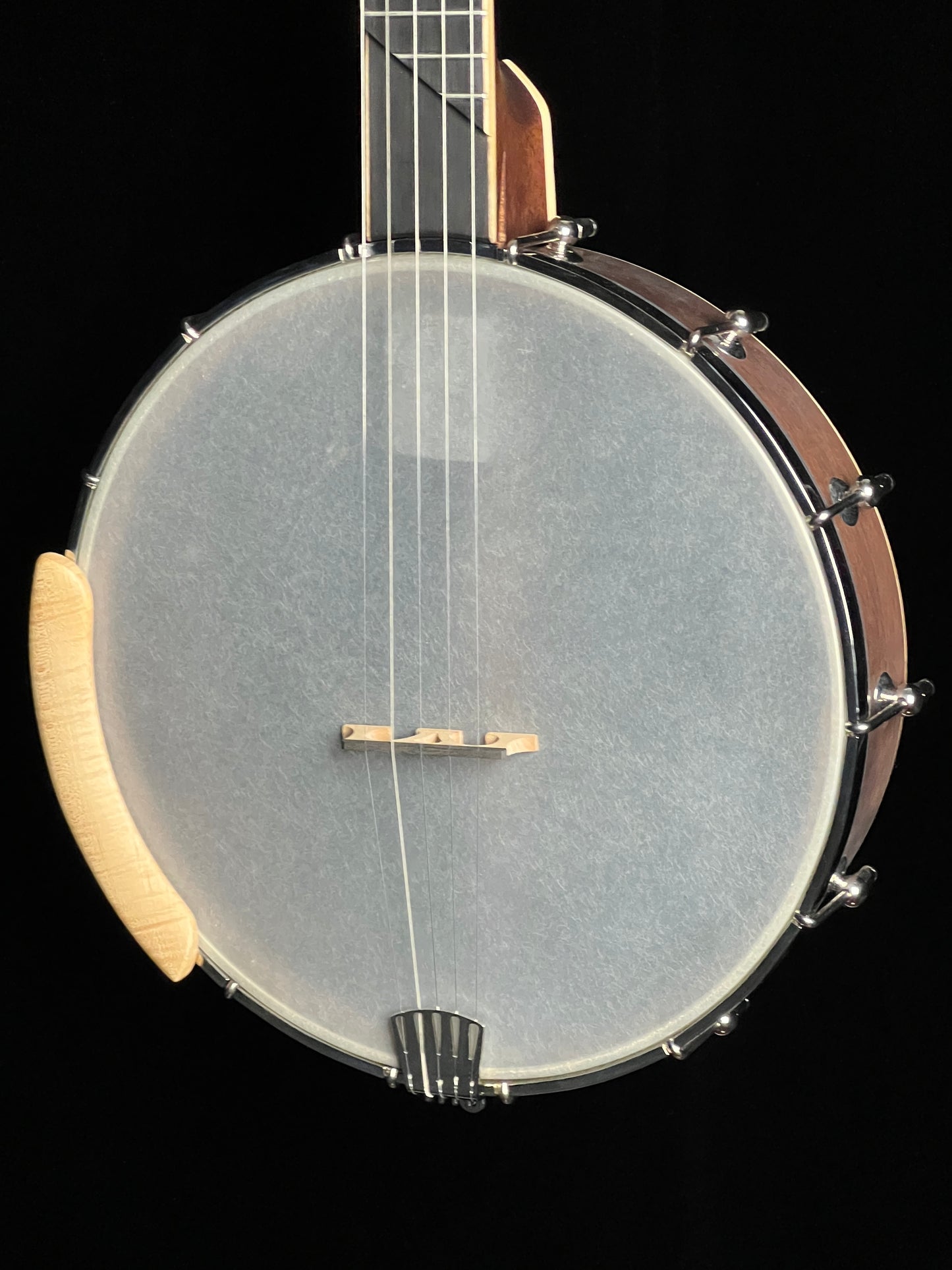 Gold Tone HM-100 High Moon Openback 5-String Banjo - New