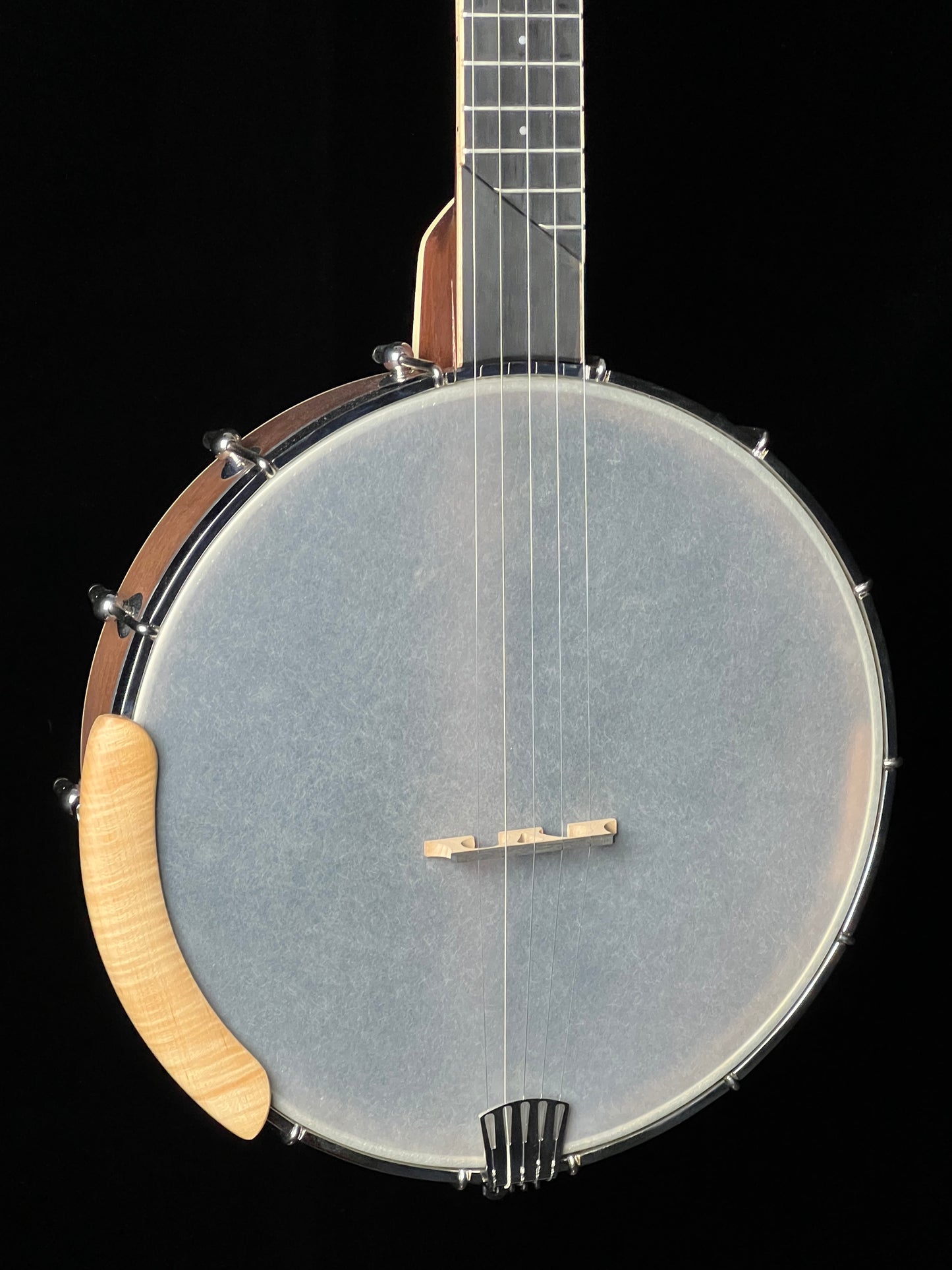 Gold Tone HM-100 High Moon Openback 5-String Banjo - New