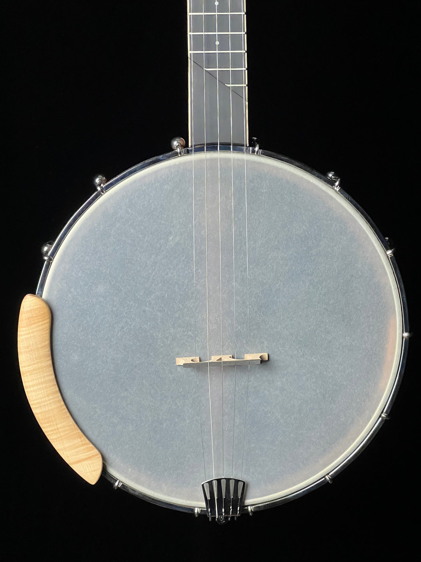 Gold Tone HM-100 High Moon Openback 5-String Banjo - New