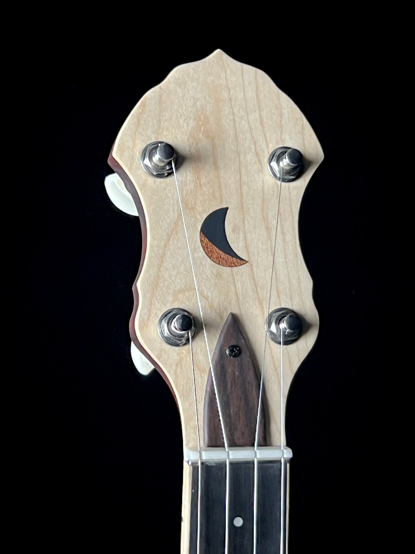 Gold Tone HM-100 High Moon Openback 5-String Banjo - New