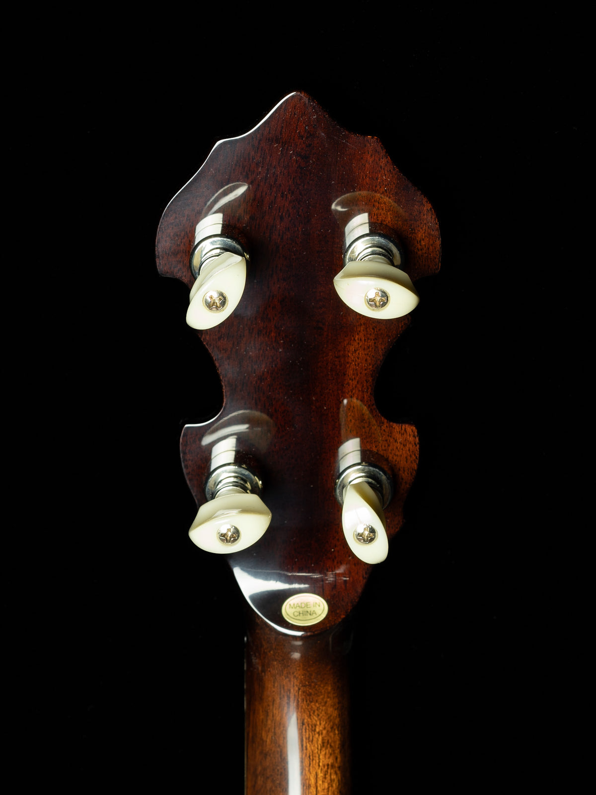 Gold Tone Mastertone BG-175F Bluegrass 5-String Resonator Banjo - New