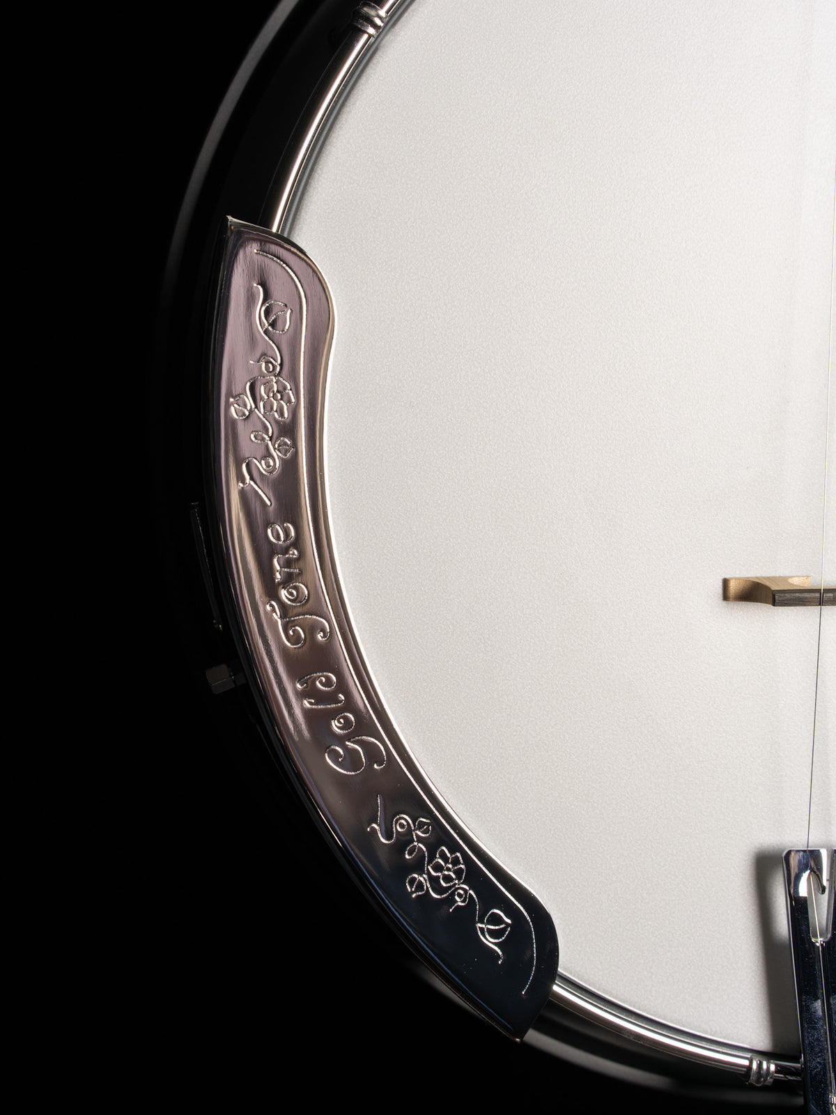 Gold Tone Mastertone BG-175F Bluegrass 5-String Resonator Banjo - New