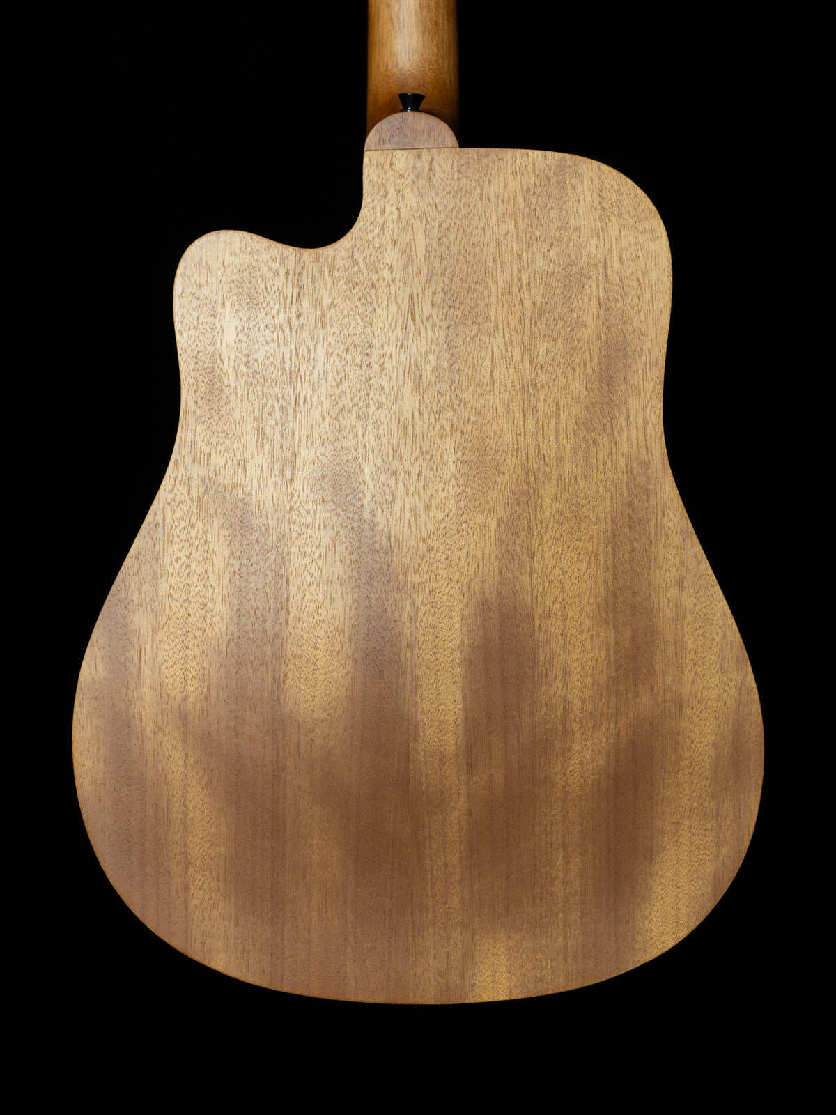 Gold Tone Micro Bass Fretless M-Bass25FL 25-Inch Scale Acoustic-Electric Bass - New