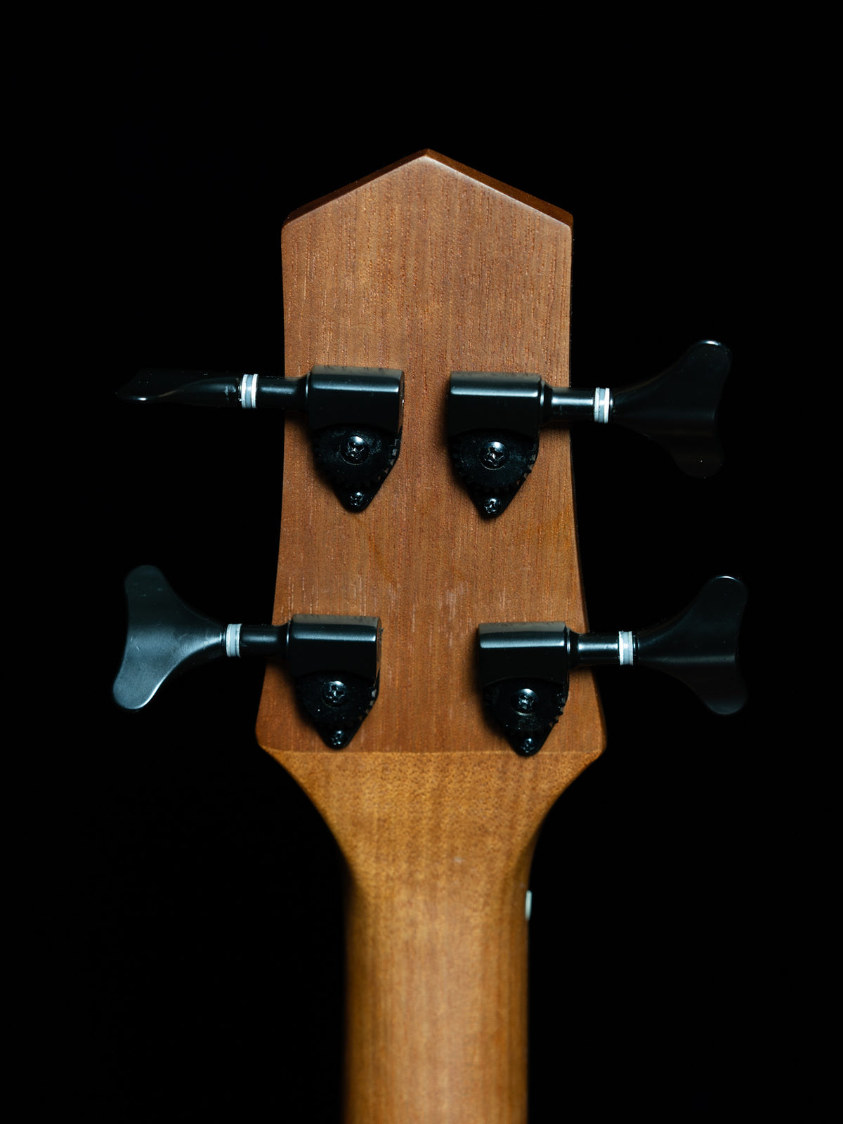 Gold Tone Micro Bass Fretless M-Bass25FL 25-Inch Scale Acoustic-Electric Bass - New