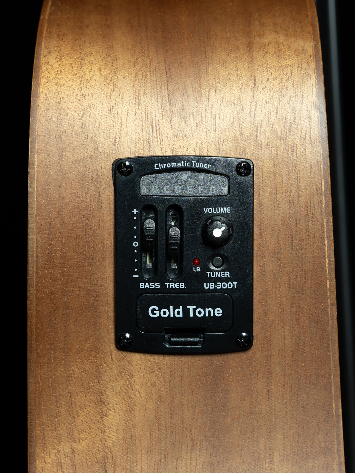 Gold Tone Micro Bass Fretless M-Bass25FL 25-Inch Scale Acoustic-Electric Bass - New