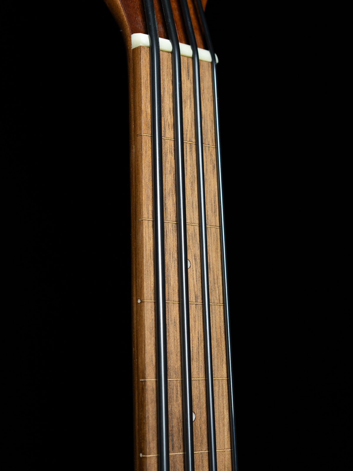 Gold Tone Micro Bass Fretless M-Bass25FL 25-Inch Scale Acoustic-Electric Bass - New