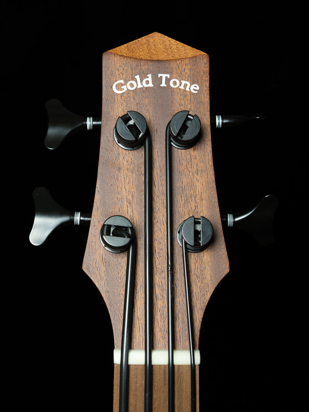 Gold Tone Micro Bass Fretless M-Bass25FL 25-Inch Scale Acoustic-Electric Bass - New