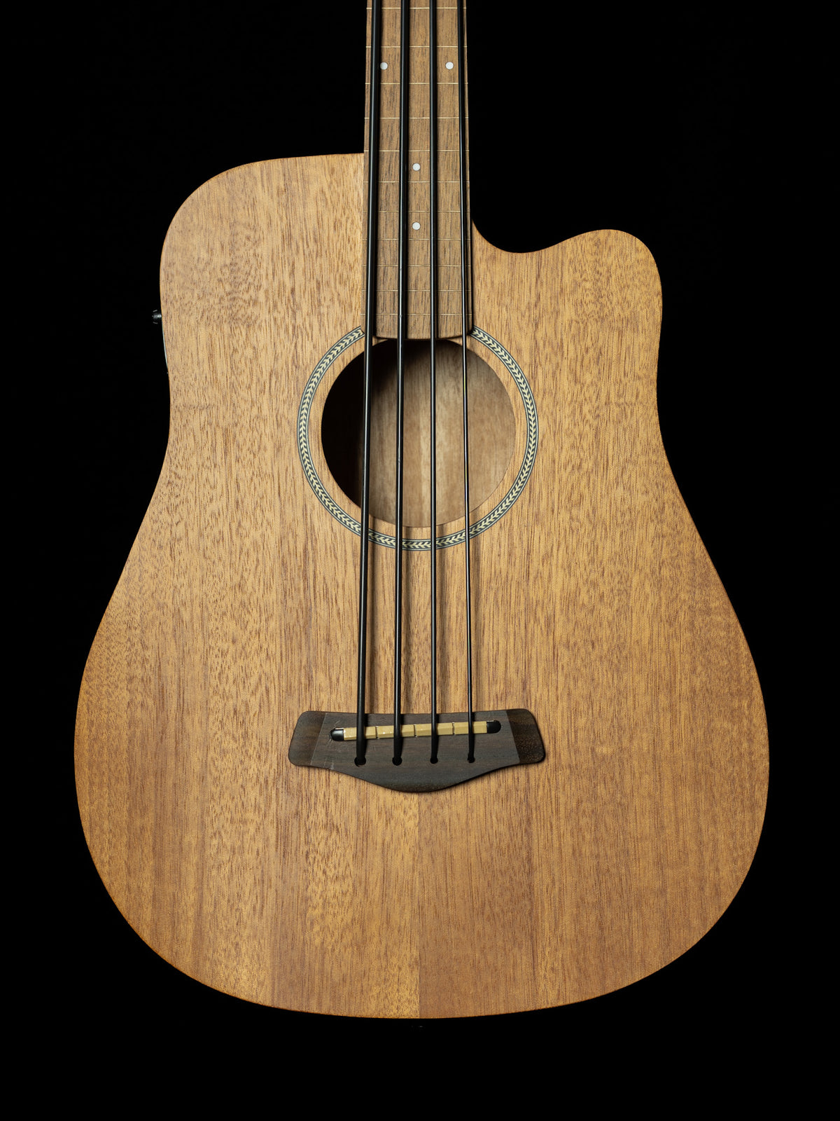 Gold Tone Micro Bass Fretless M-Bass25FL 25-Inch Scale Acoustic-Electric Bass - New