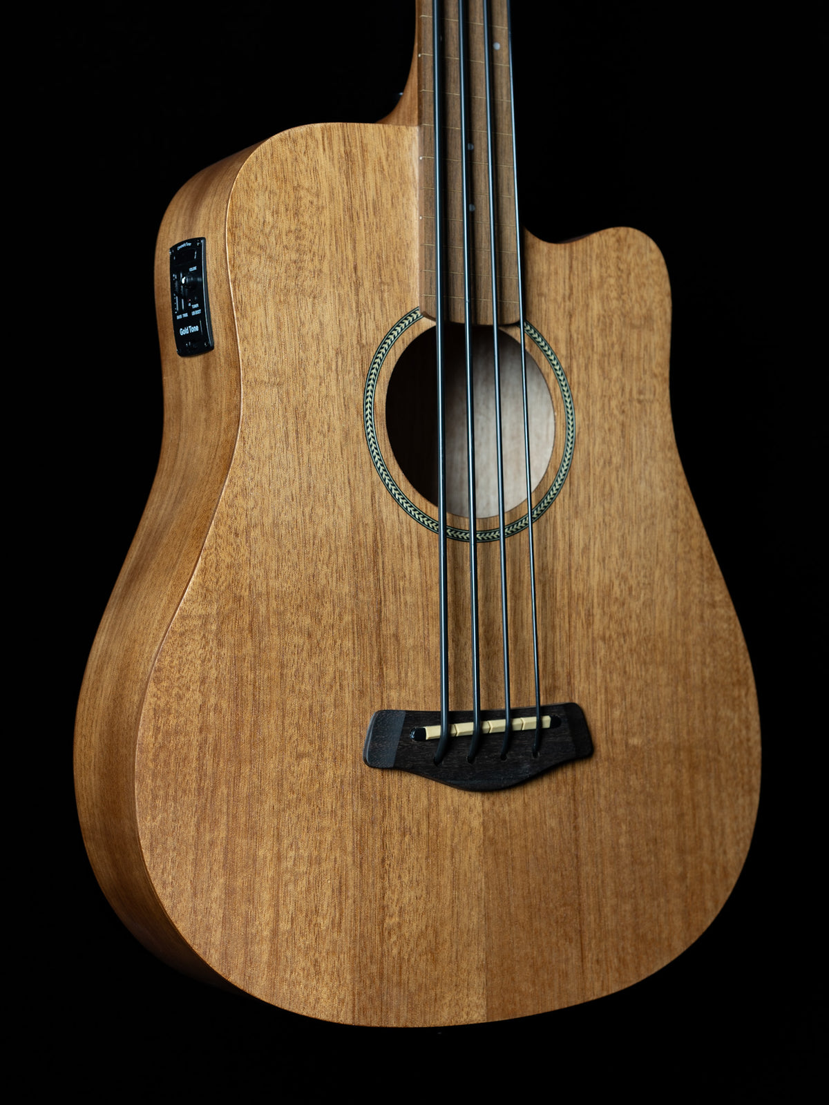 Gold Tone Micro Bass Fretless M-Bass25FL 25-Inch Scale Acoustic-Electric Bass - New