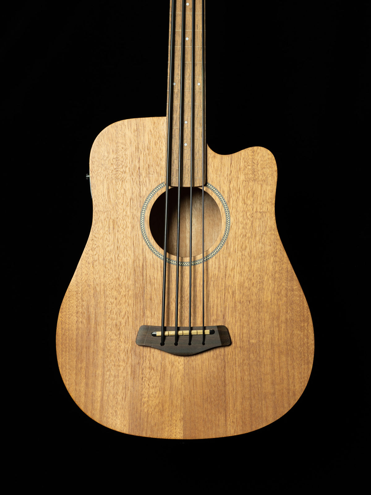 Gold Tone Micro Bass Fretless M-Bass25FL 25-Inch Scale Acoustic-Electric Bass - New