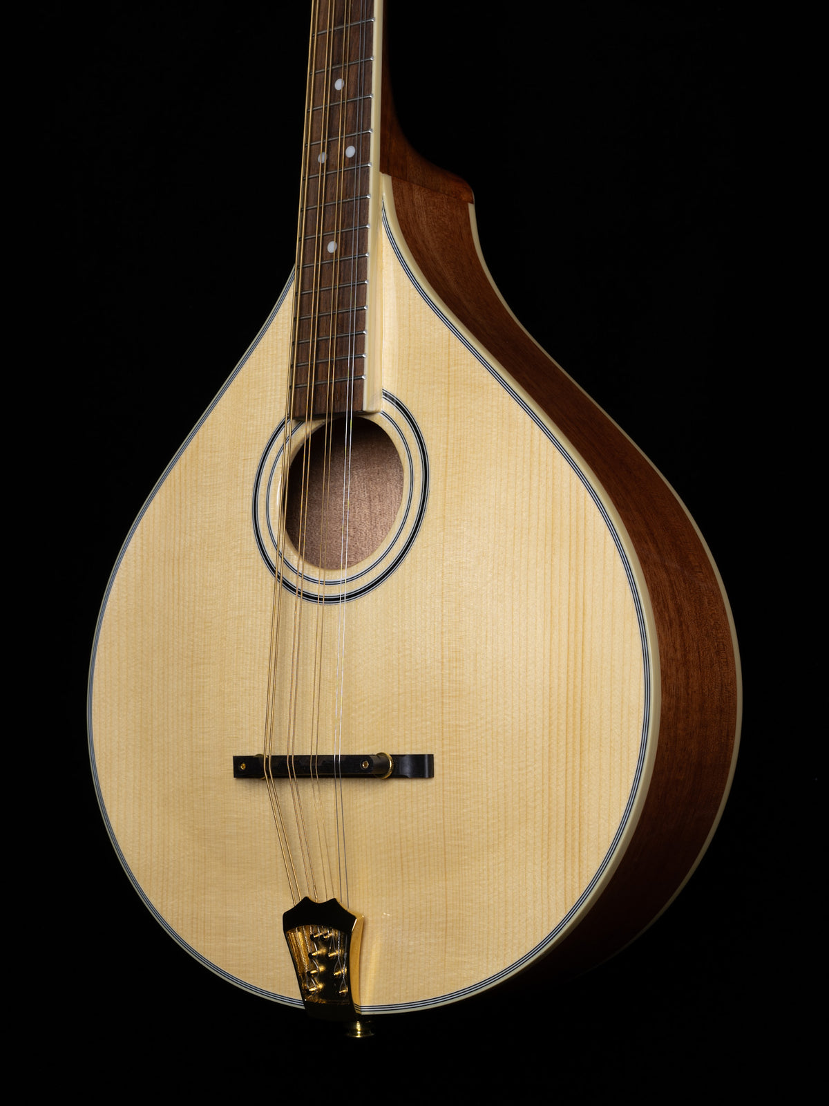 Gold Tone OM-800+ Octave Mandolin - New