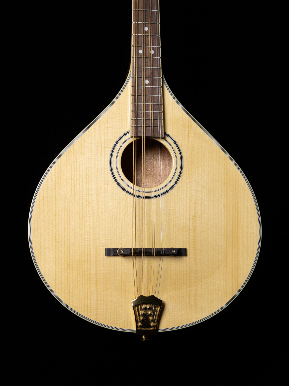 Gold Tone OM-800+ Octave Mandolin - New