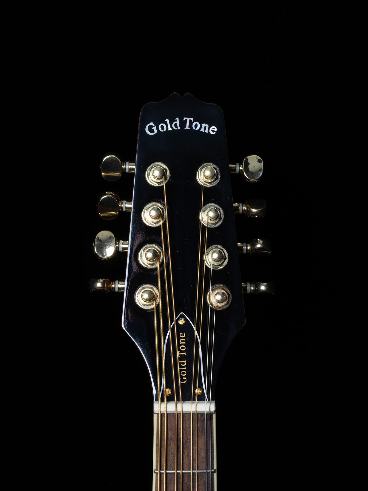 Gold Tone OM-800+ Octave Mandolin - New