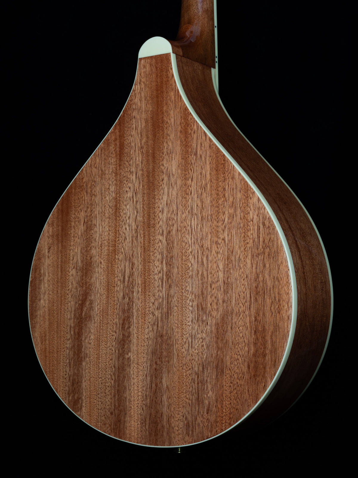 Gold Tone OM-800+ Octave Mandolin - New