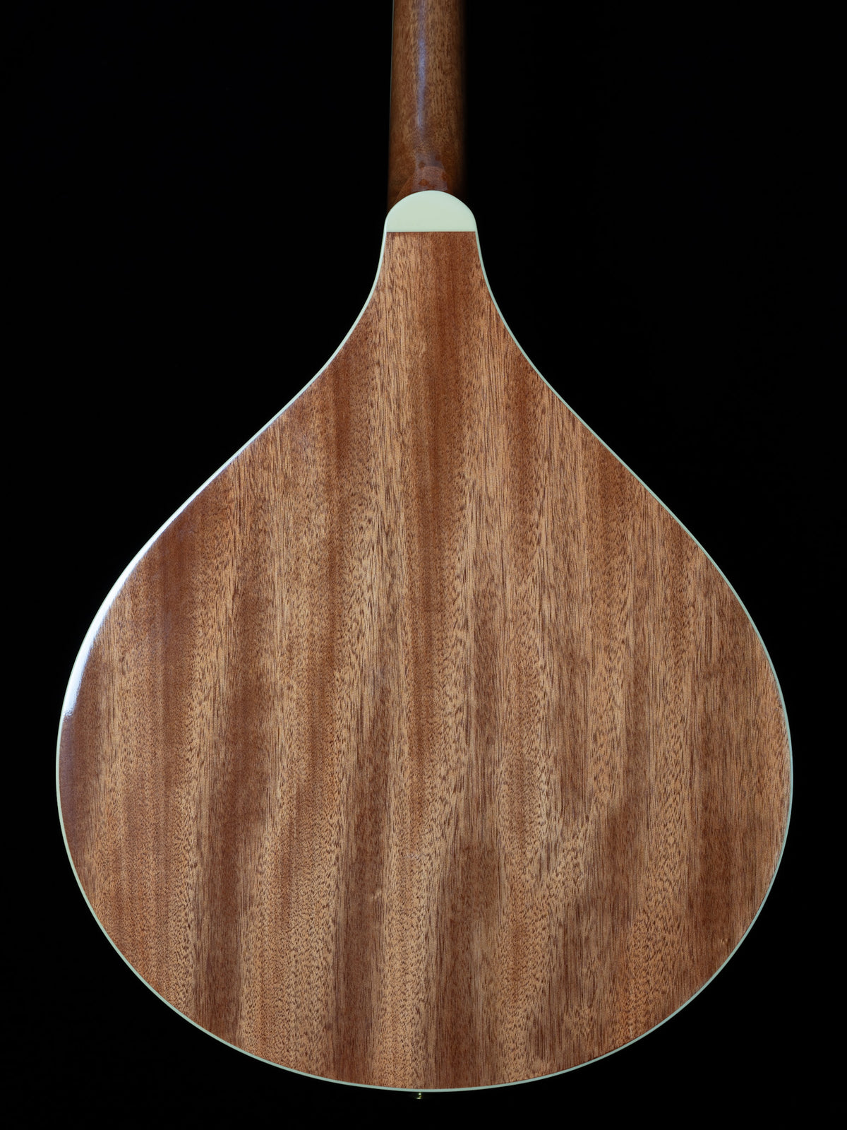 Gold Tone OM-800+ Octave Mandolin - New