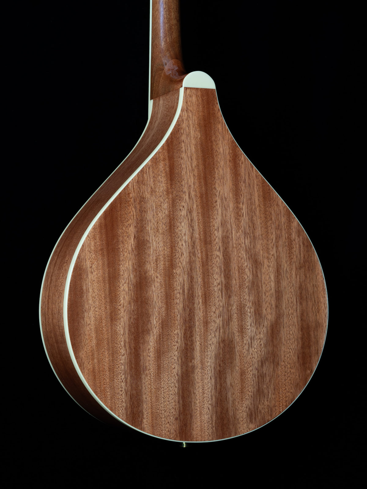Gold Tone OM-800+ Octave Mandolin - New