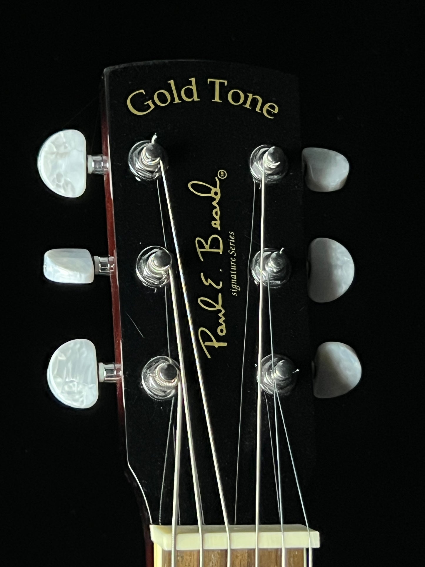 Gold Tone Paul E. Beard Square Neck Resonator Guitar (2005) - Used