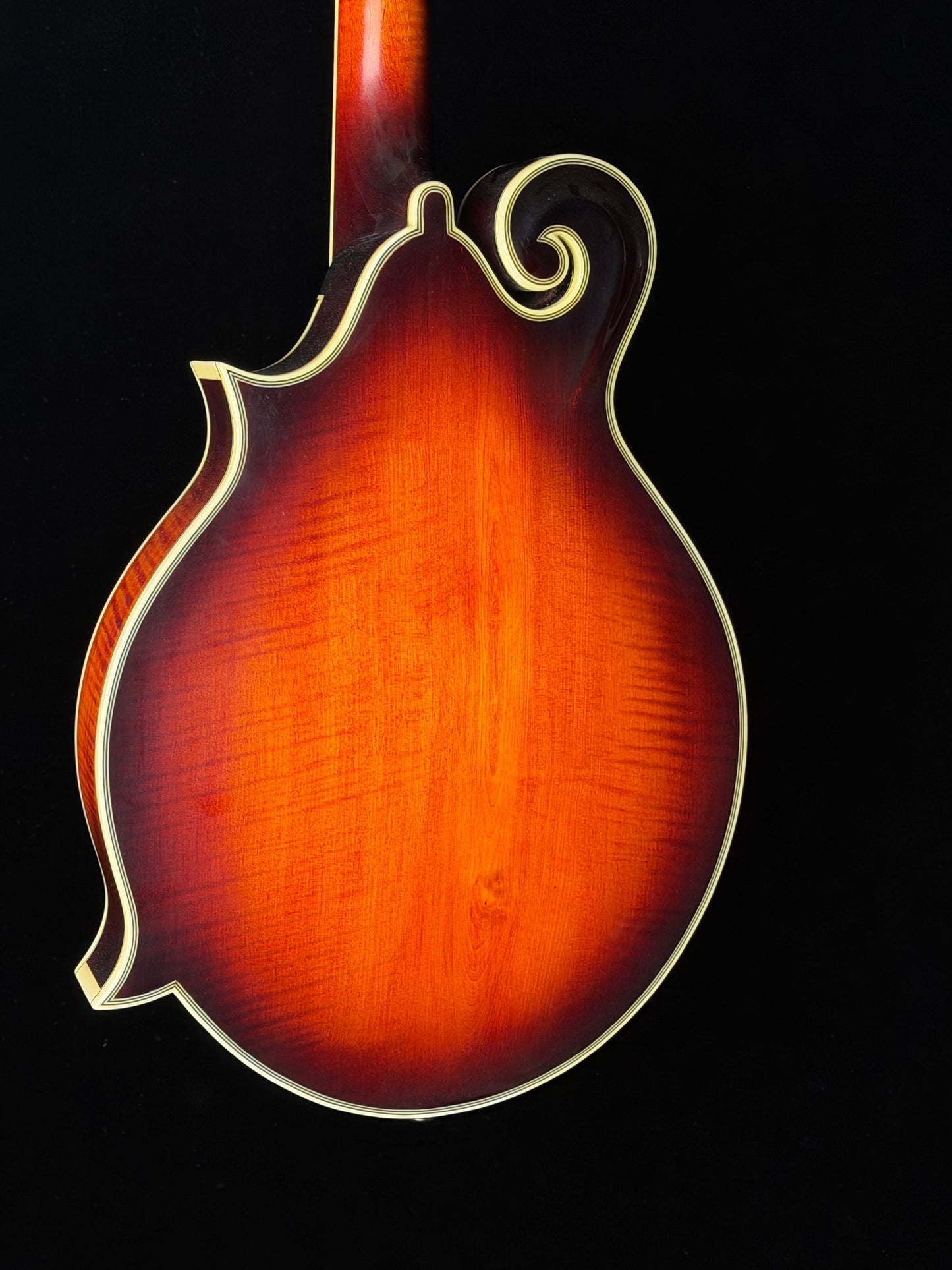 Tailwater TW-F5V F-Style Mandolin - New