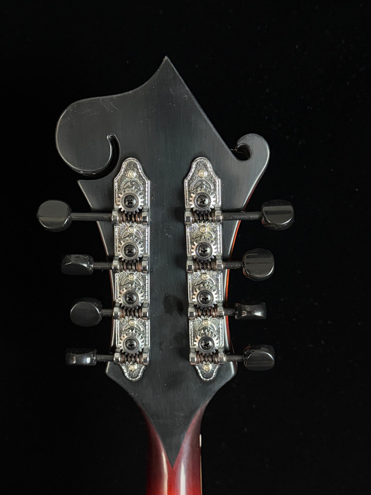 Tailwater TW-F5V F-Style Mandolin - New