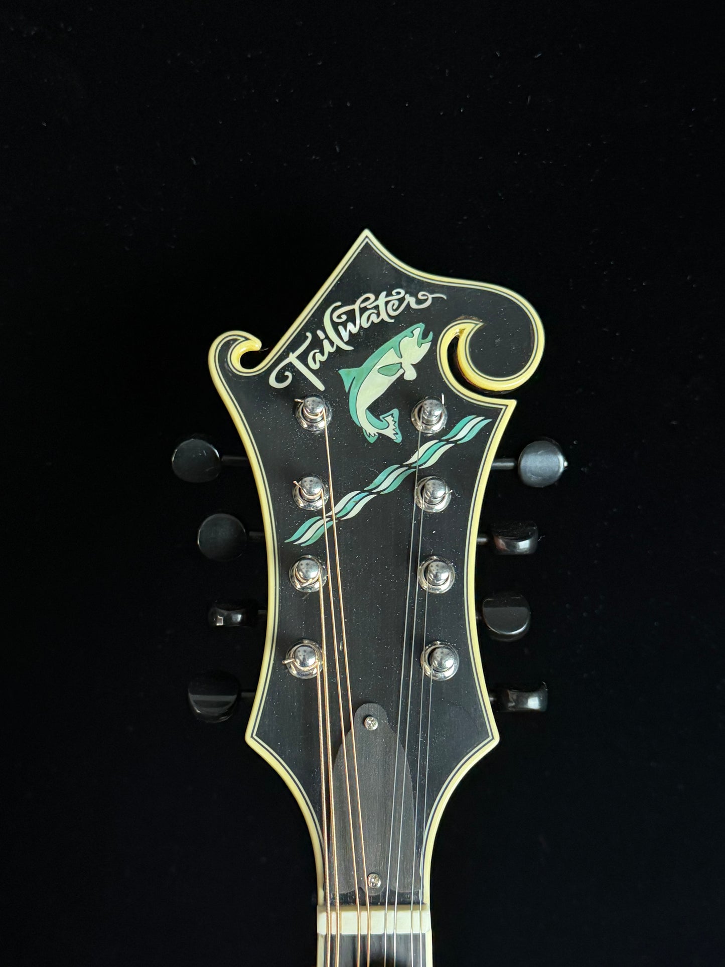 Tailwater TW-F5V F-Style Mandolin - New